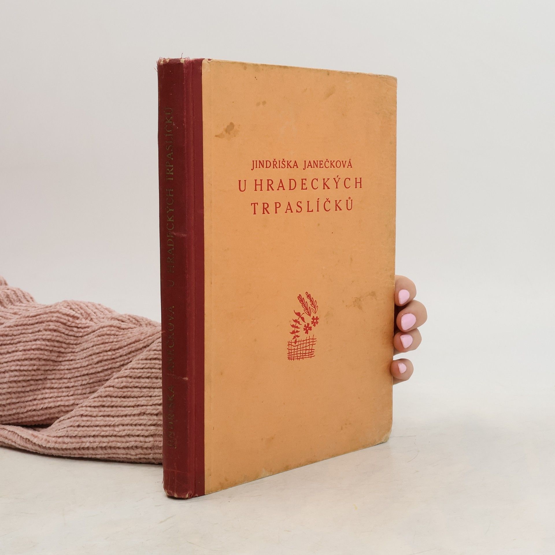 Jindřiška Janečková U hradeckých trpaslíčků