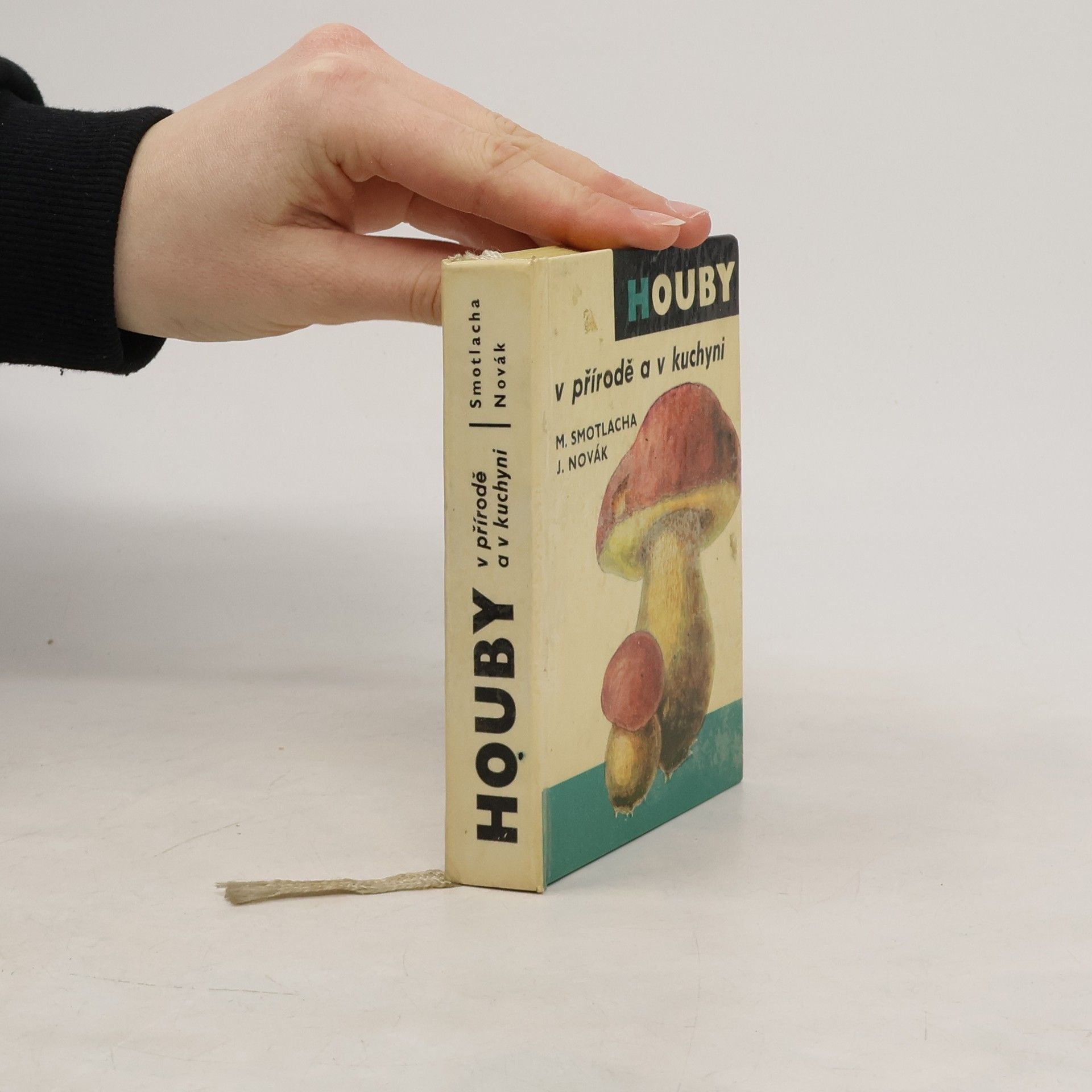 Miroslav Smotlacha Houby v přírodě a v kuchyni