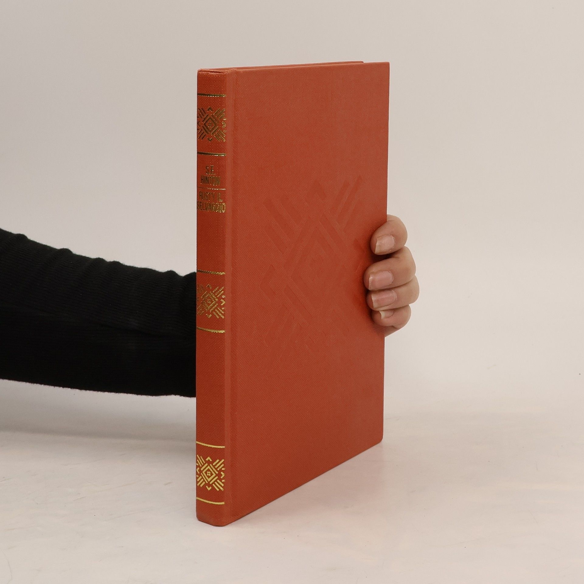 Susan E. Hinton Rusty il selvaggio