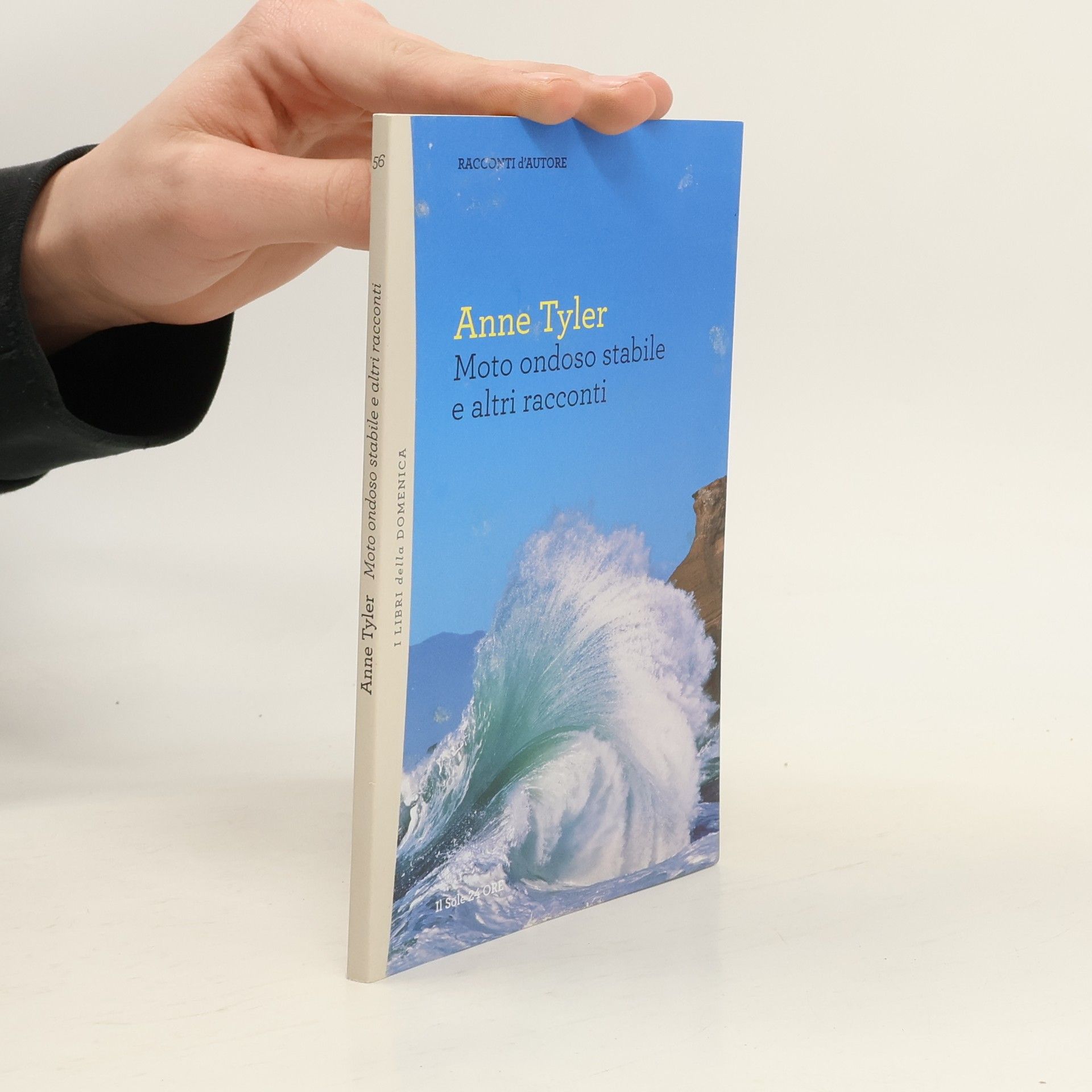 Anne Tyler Moto ondoso stabile e altri racconti