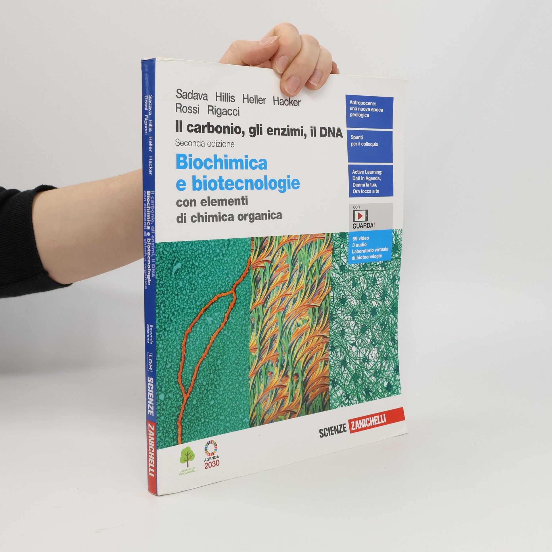 Scienze: Il carbonio, gli enzimi, il DNA