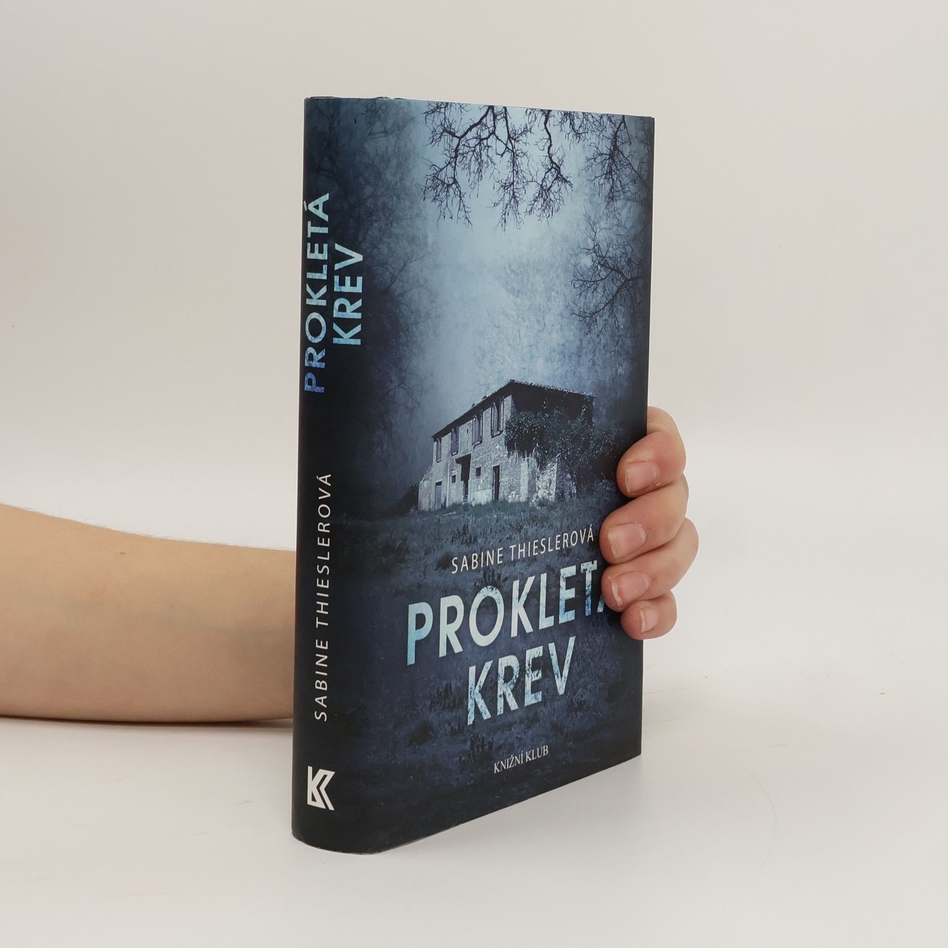 Sabine Thiesler Prokletá krev