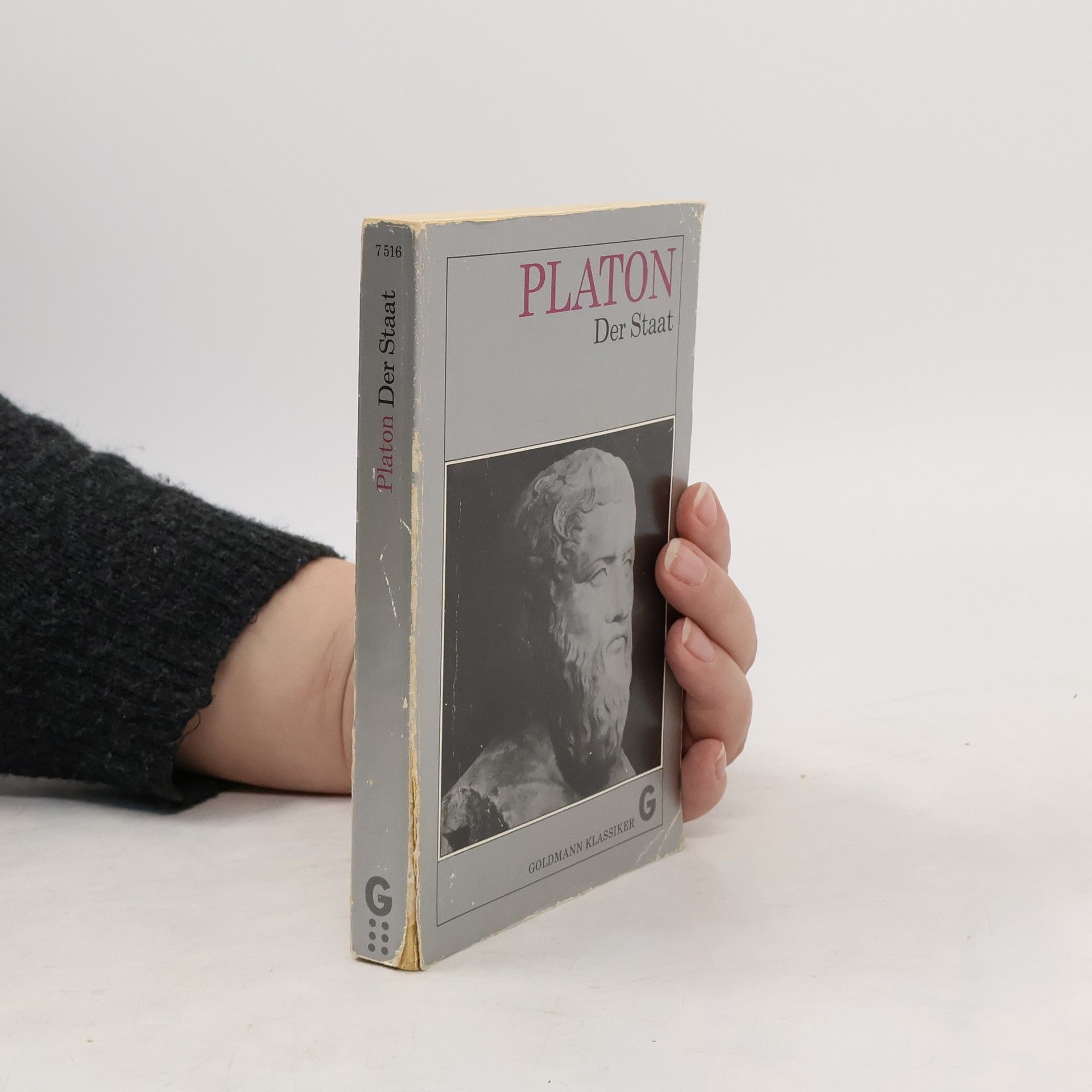 Plato Der Staat