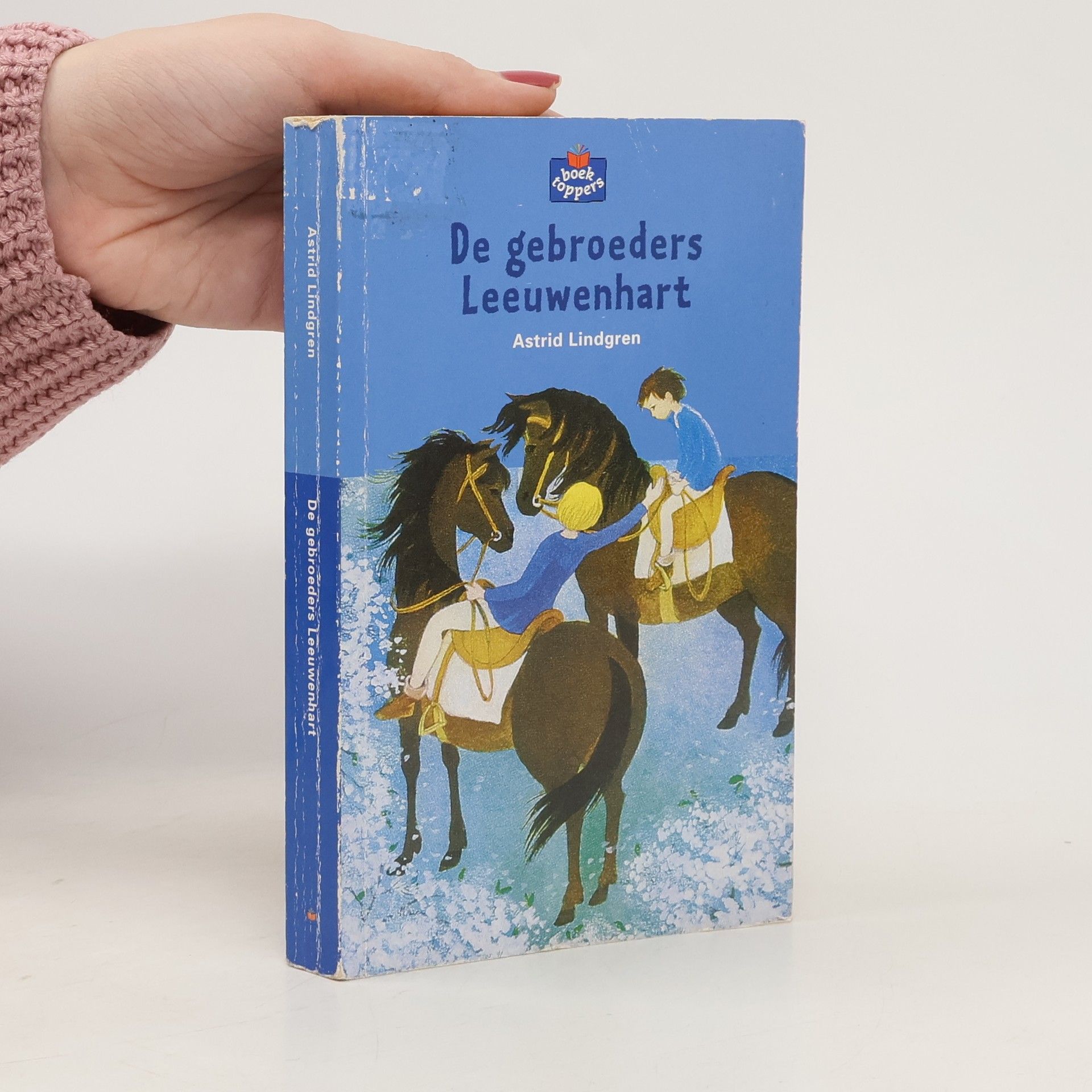 Astrid Lindgren De gebroeders Leeuwenhart