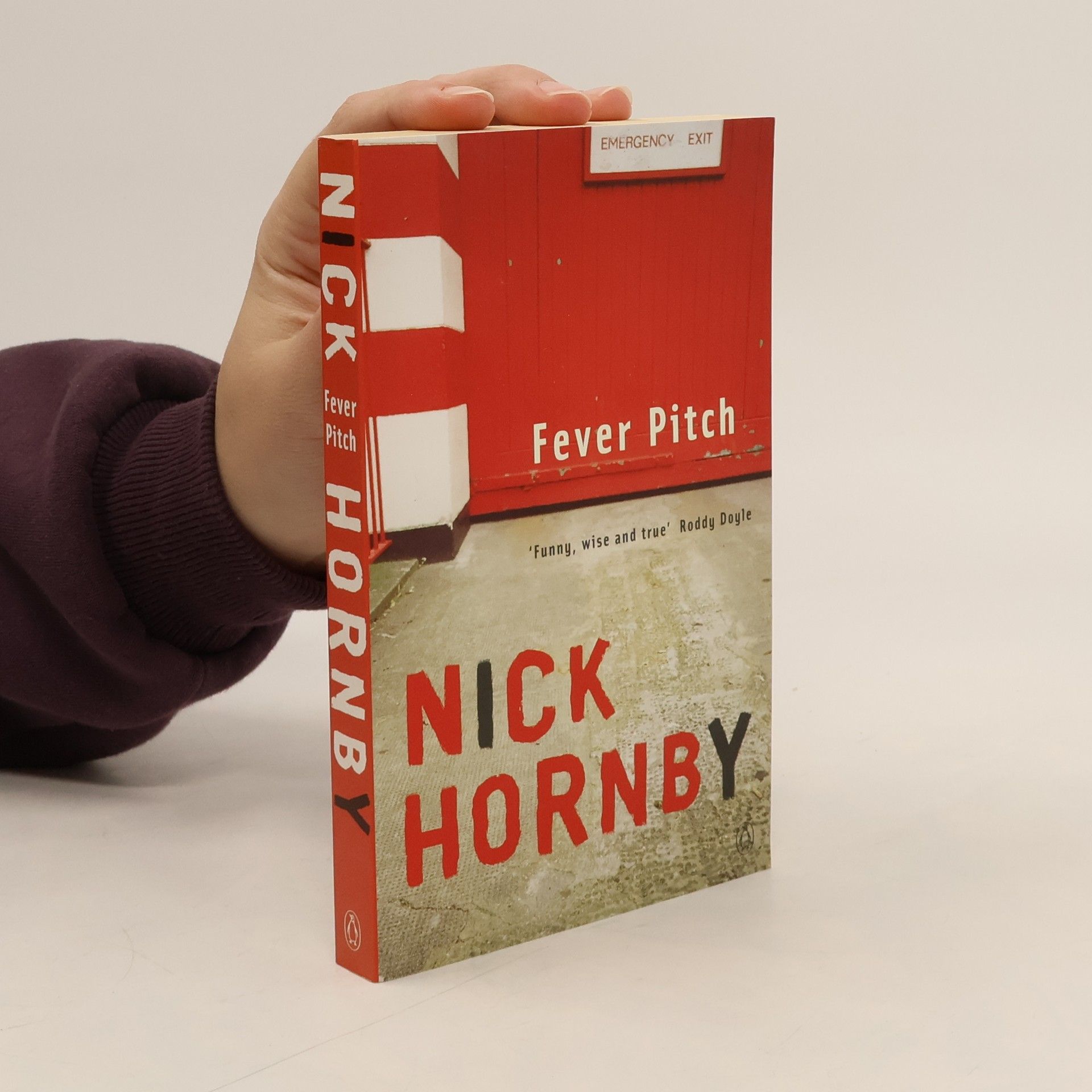 Nick Hornby Fever pitch