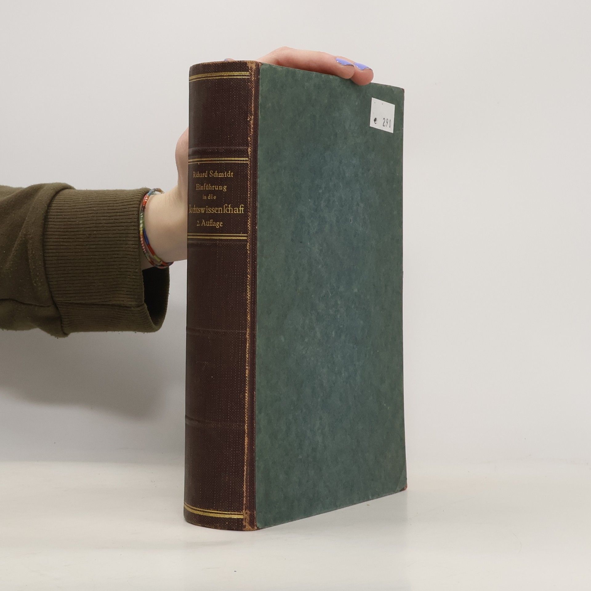 Richard Schmidt Einführung in die Rechtswissenschaft