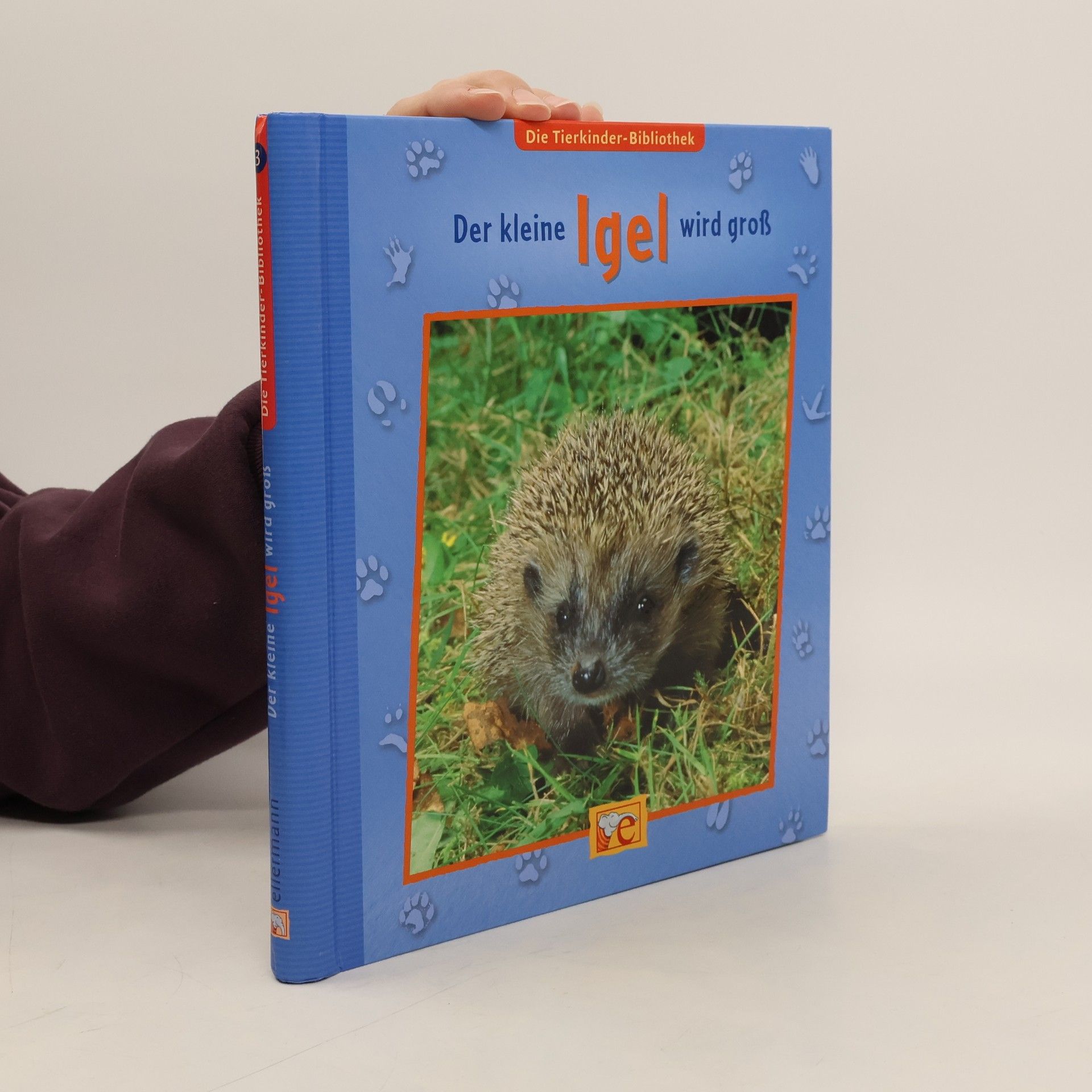 Sandra Grimm Der kleine Igel wird groß