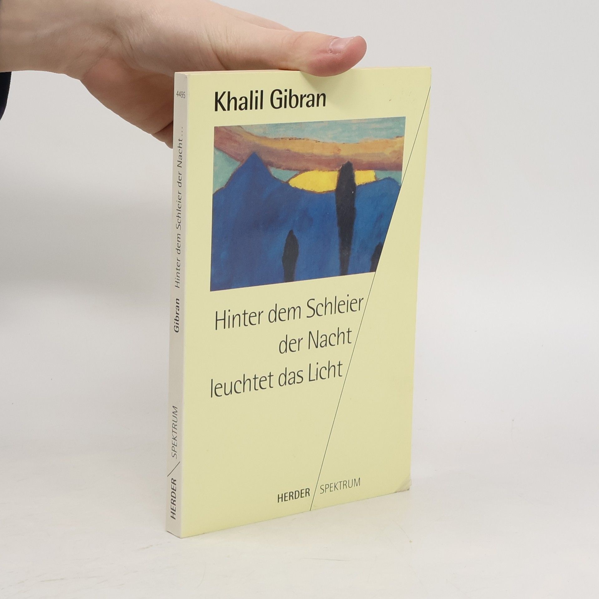 Kahlil Gibran Hinter den Schleiern der Nacht leuchtet das Licht