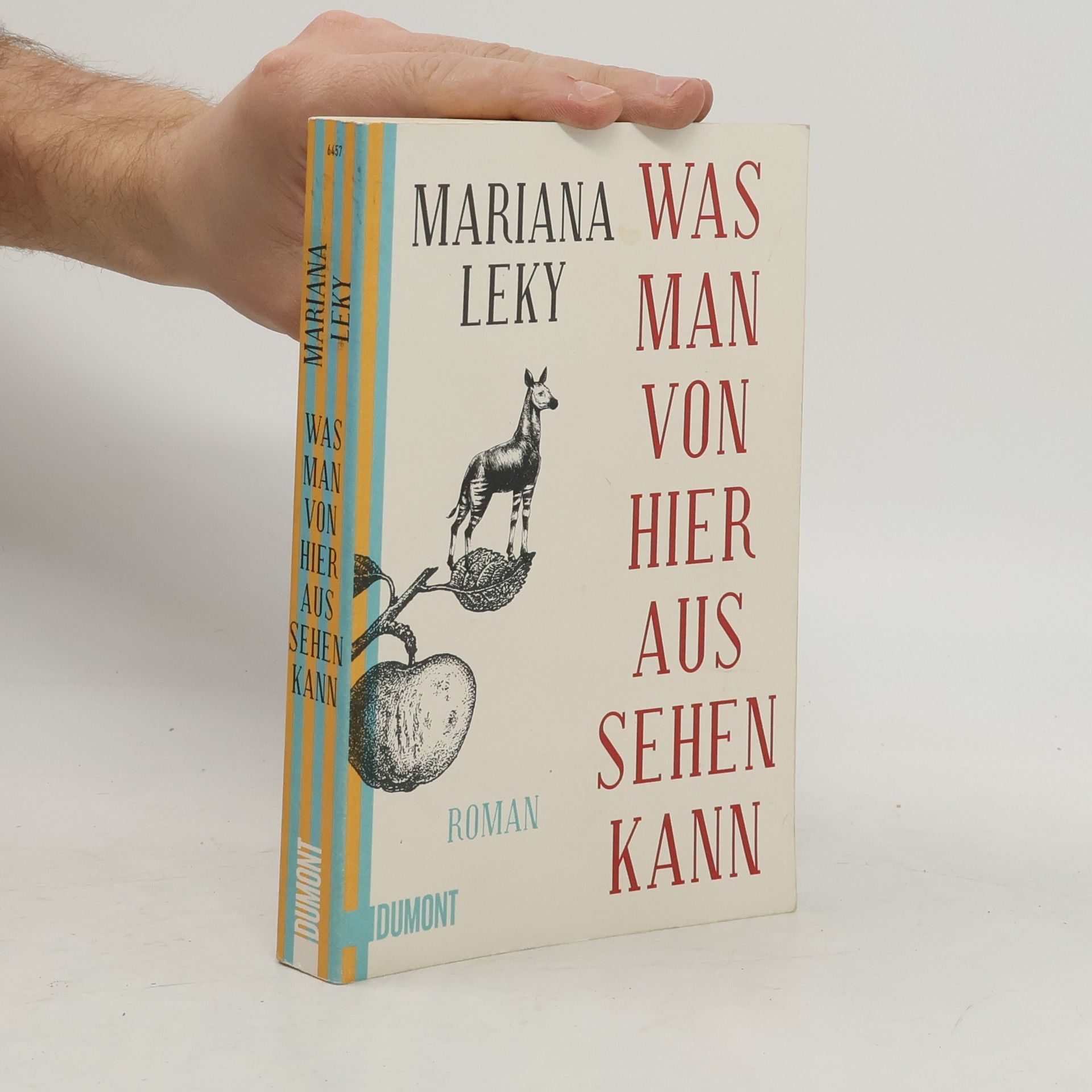 Mariana Leky Was man von hier aus sehen kann