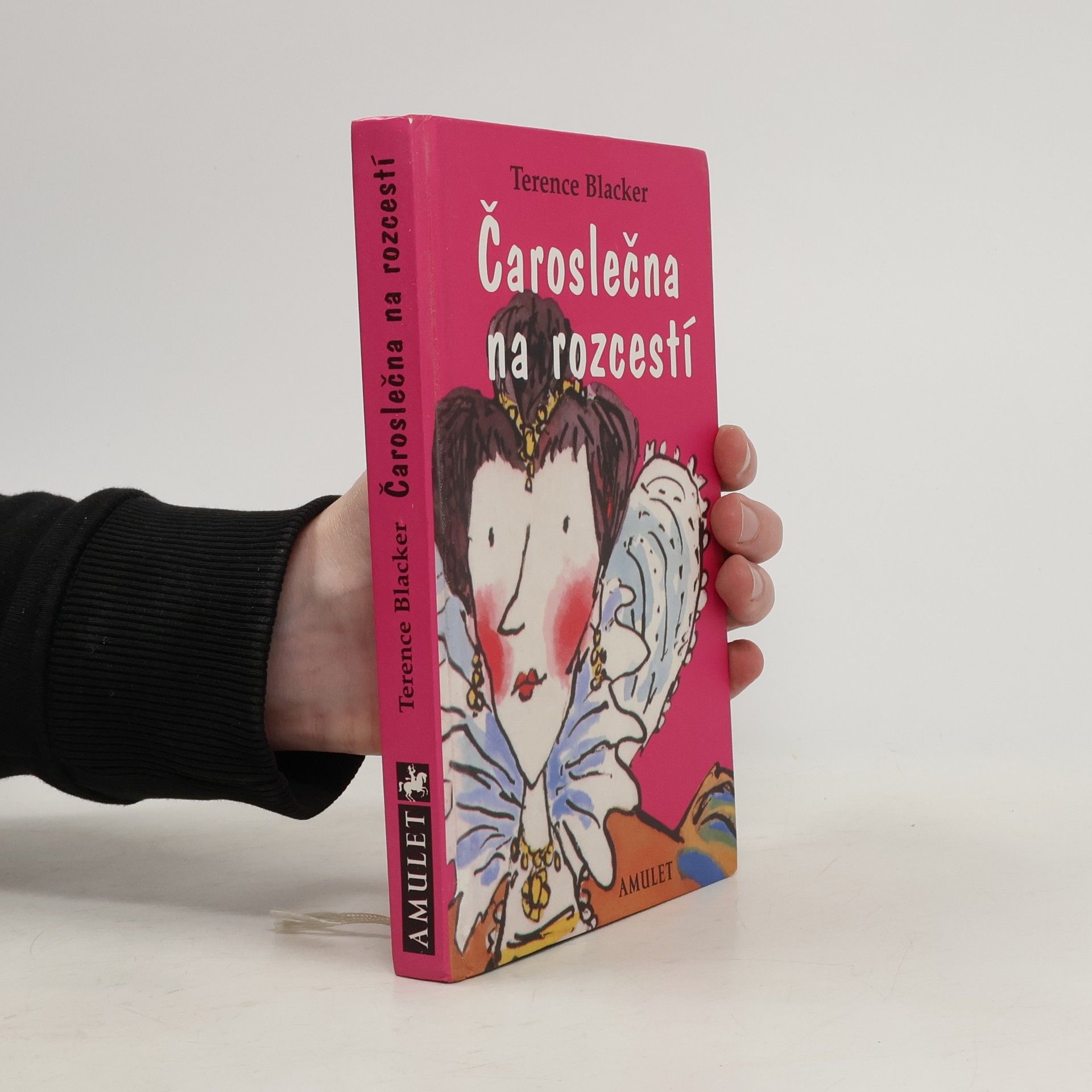 Terence Blacker Čaroslečna na rozcestí