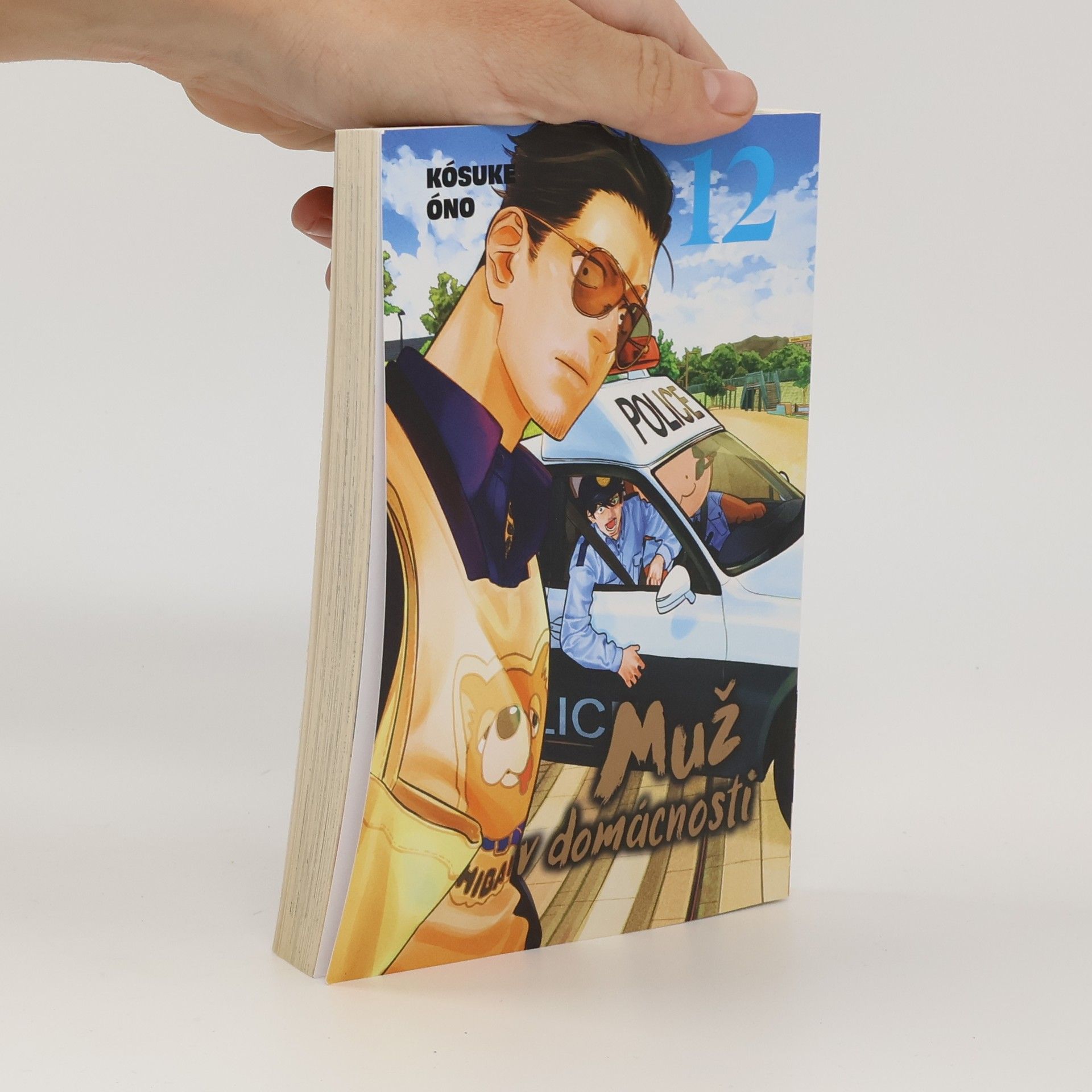 Muž v domácnosti. 12