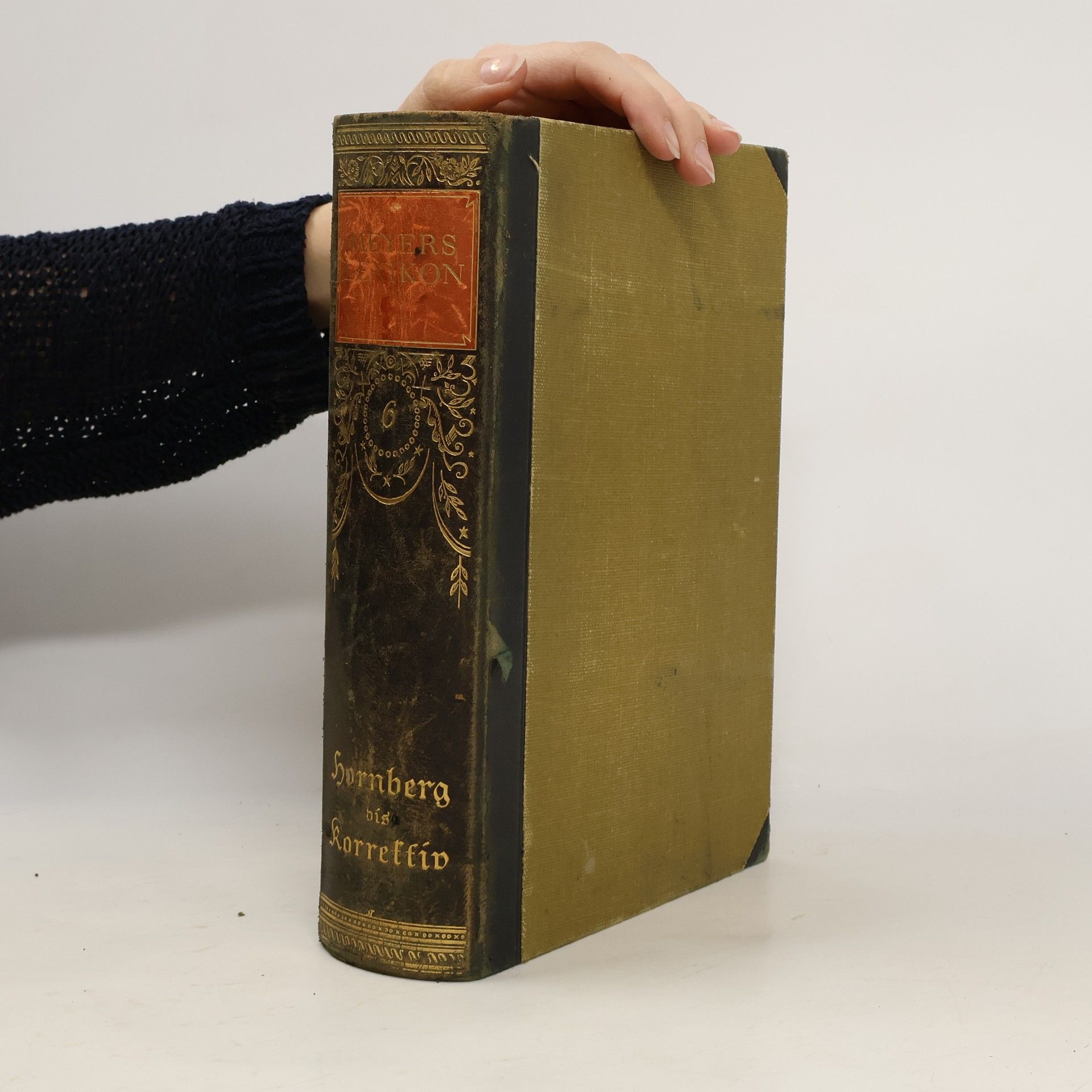 Collectif d'auteurs Meyers Lexikon 6. Hornberg bis Korrektiv