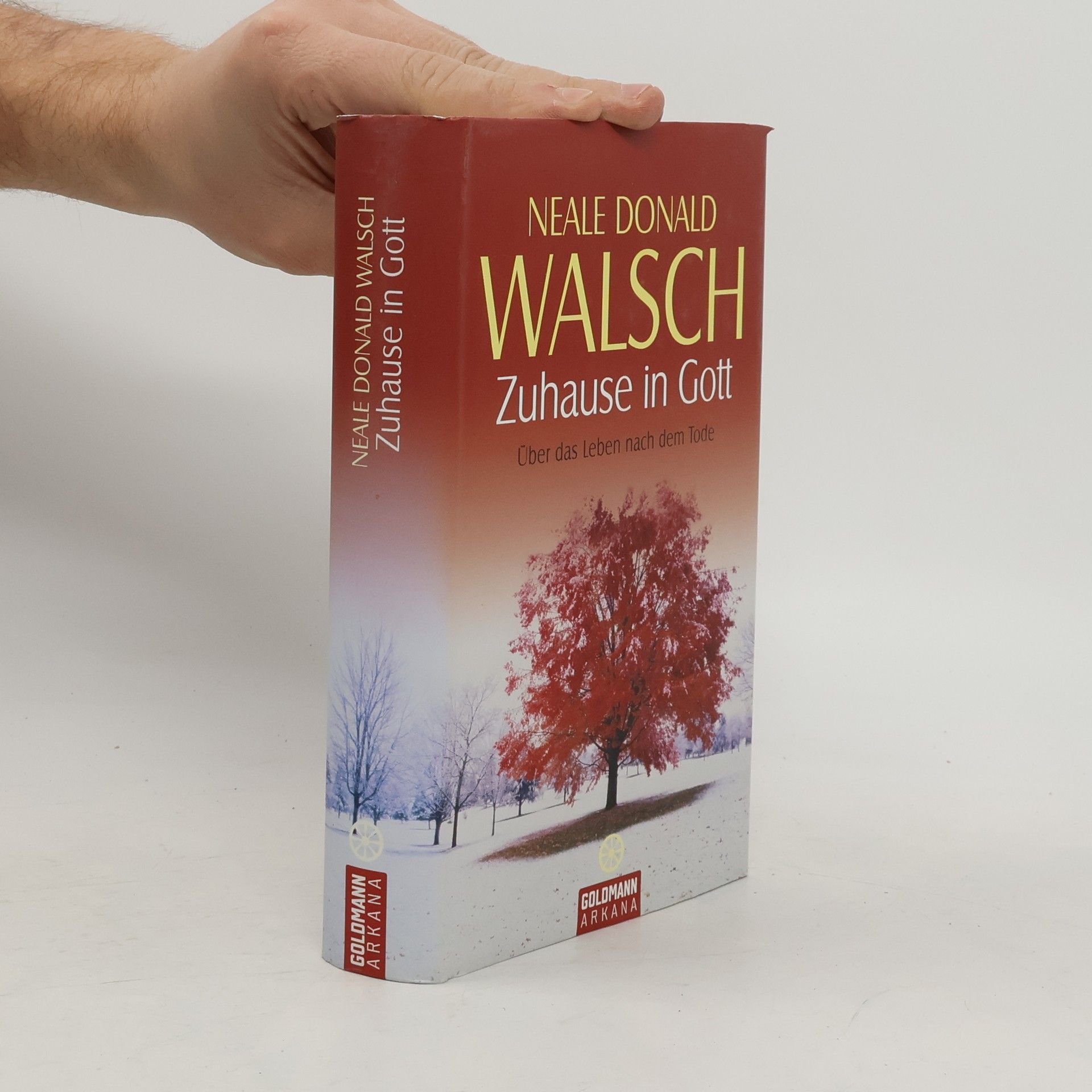 Neale Donald Walsch Zuhause in Gott