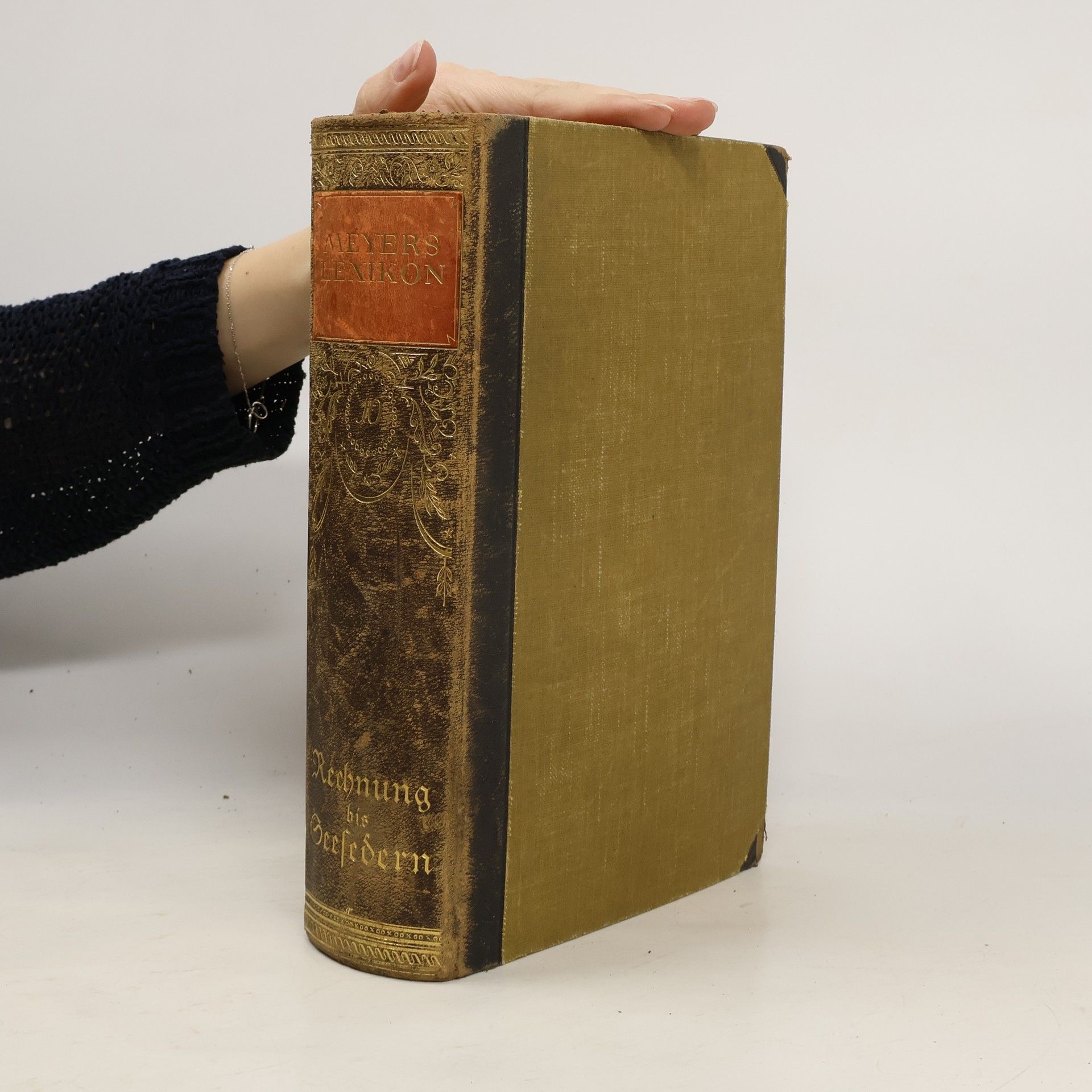 Kolektív autorov Meyers Lexikon 10