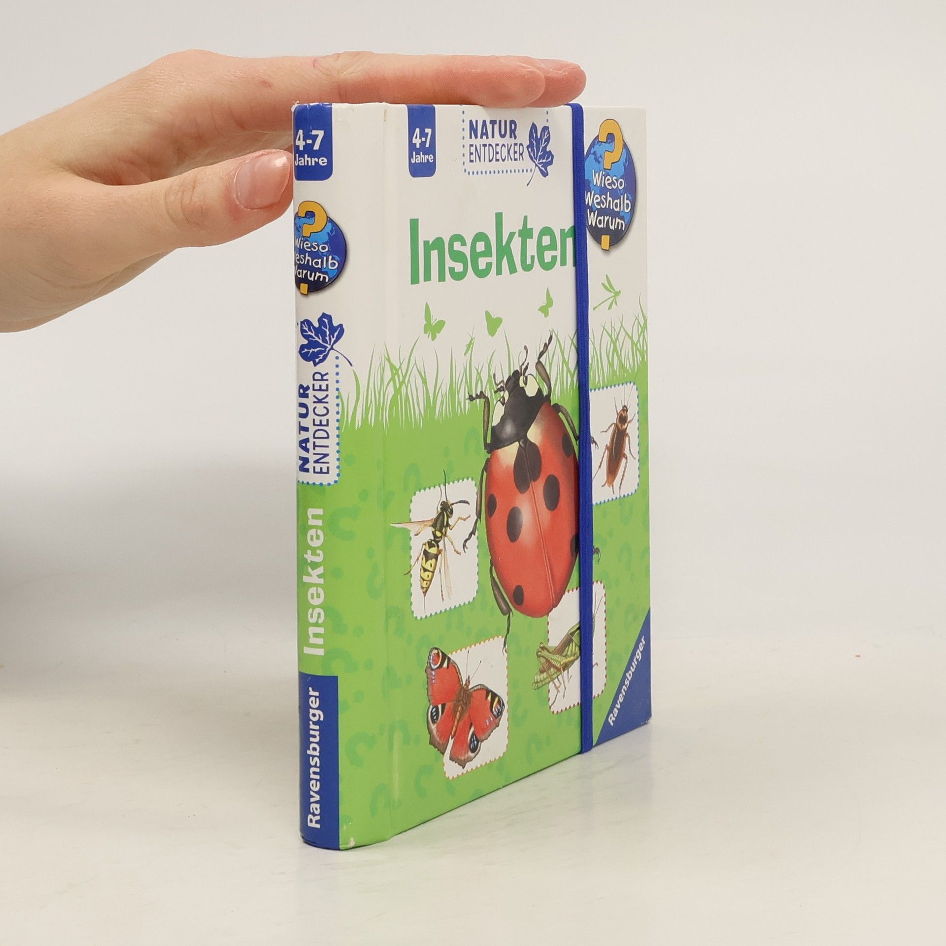 Esther von Hacht Insekten