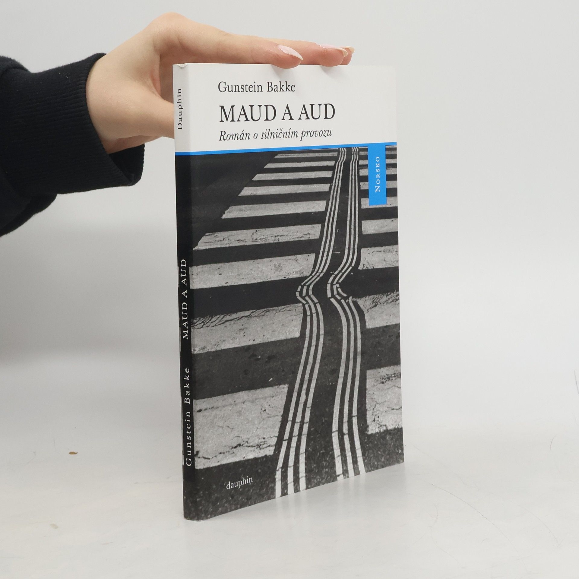 Gunstein Bakke Maud a Aud: Román o silničním provozu