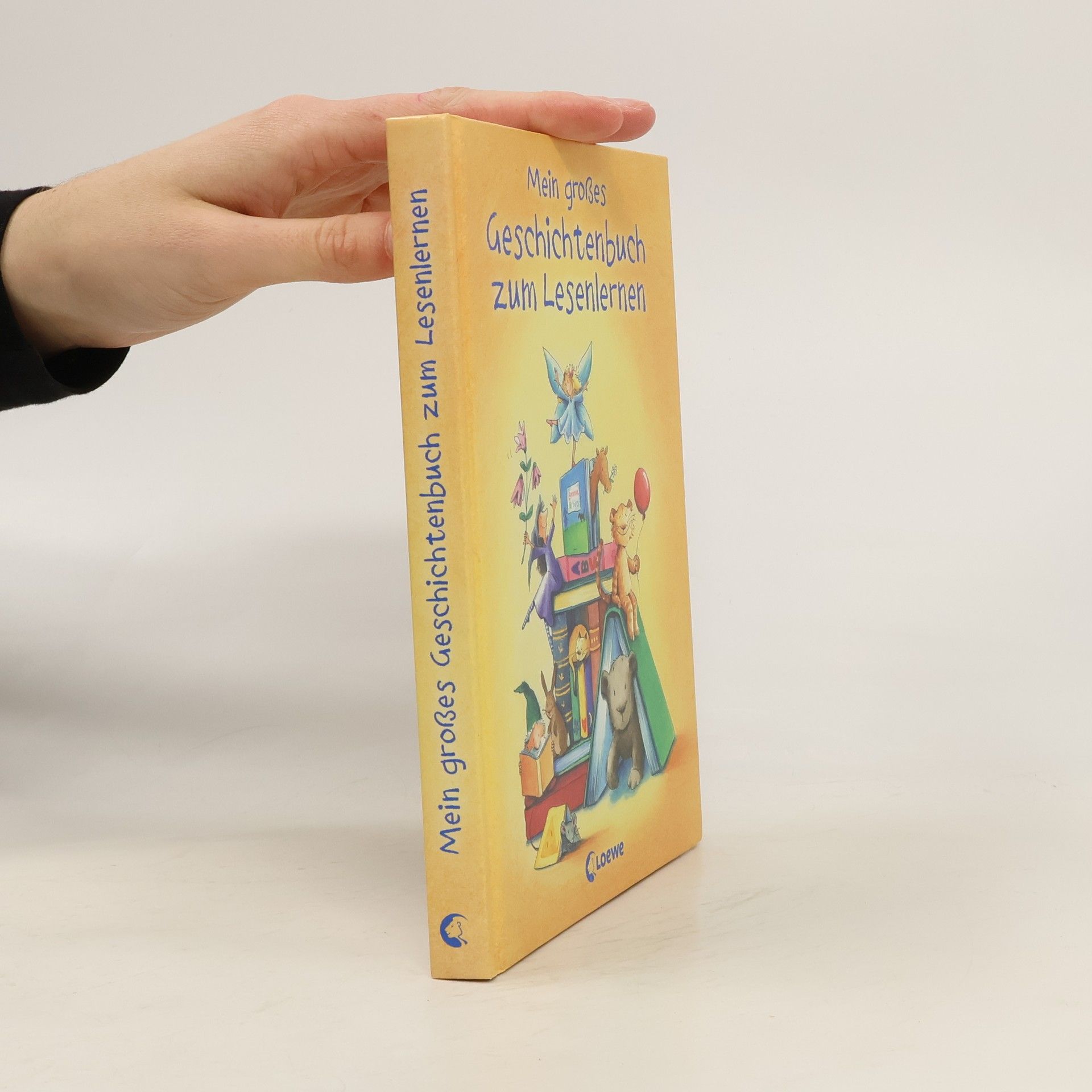 Kolektiv autorů Mein großes Geschichtenbuch zum Lesenlernen