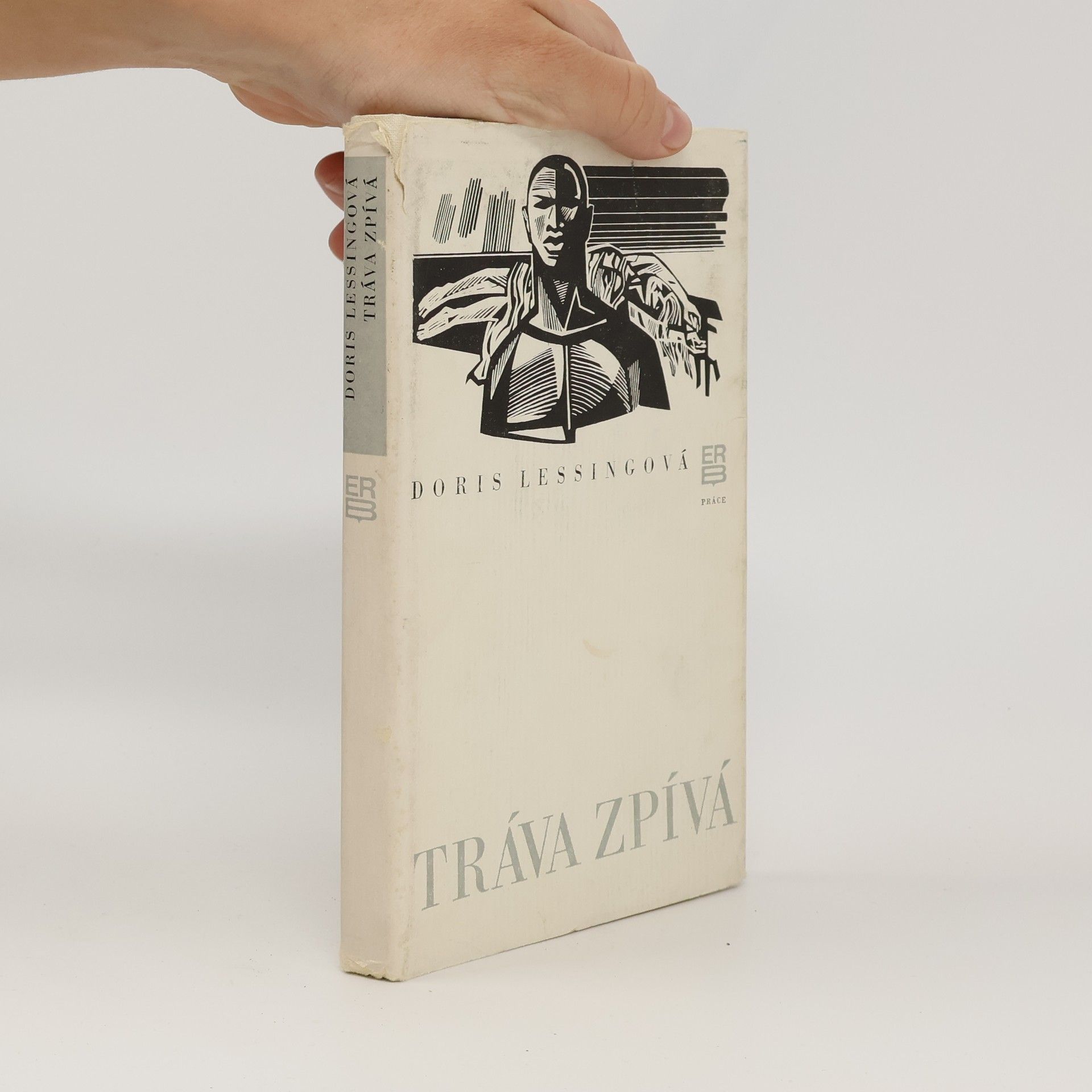 Doris Lessing Tráva zpívá