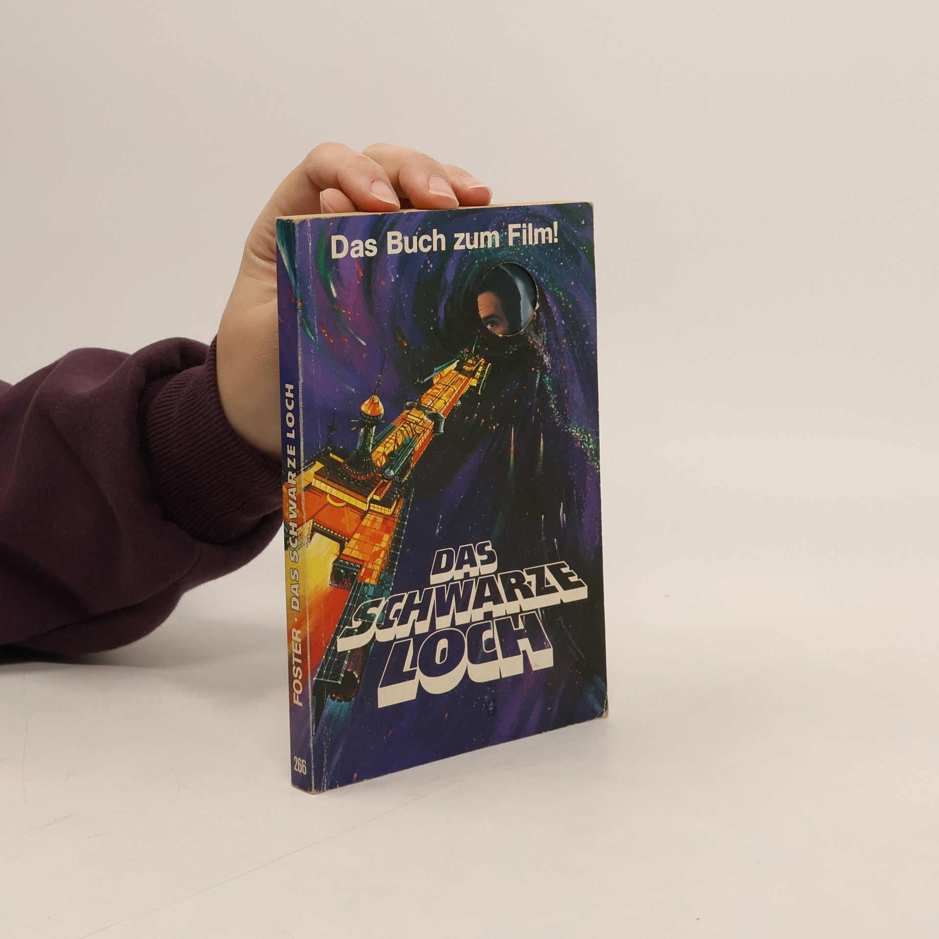 Autorenkollektiv Das schwarze Loch