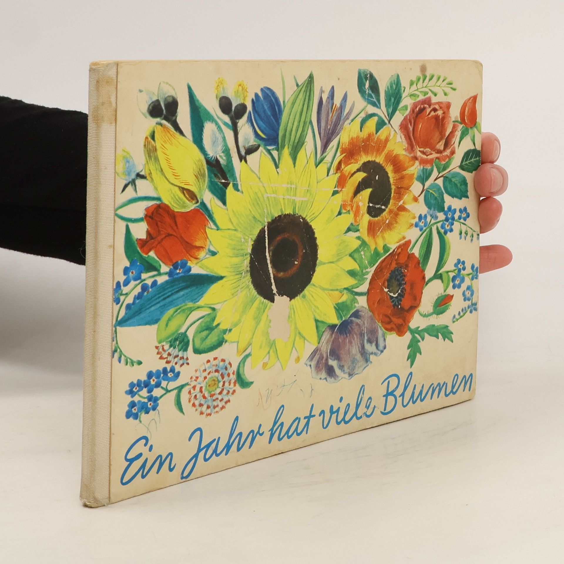 Auteurscollectief Ein Jahr hat viele Blumen