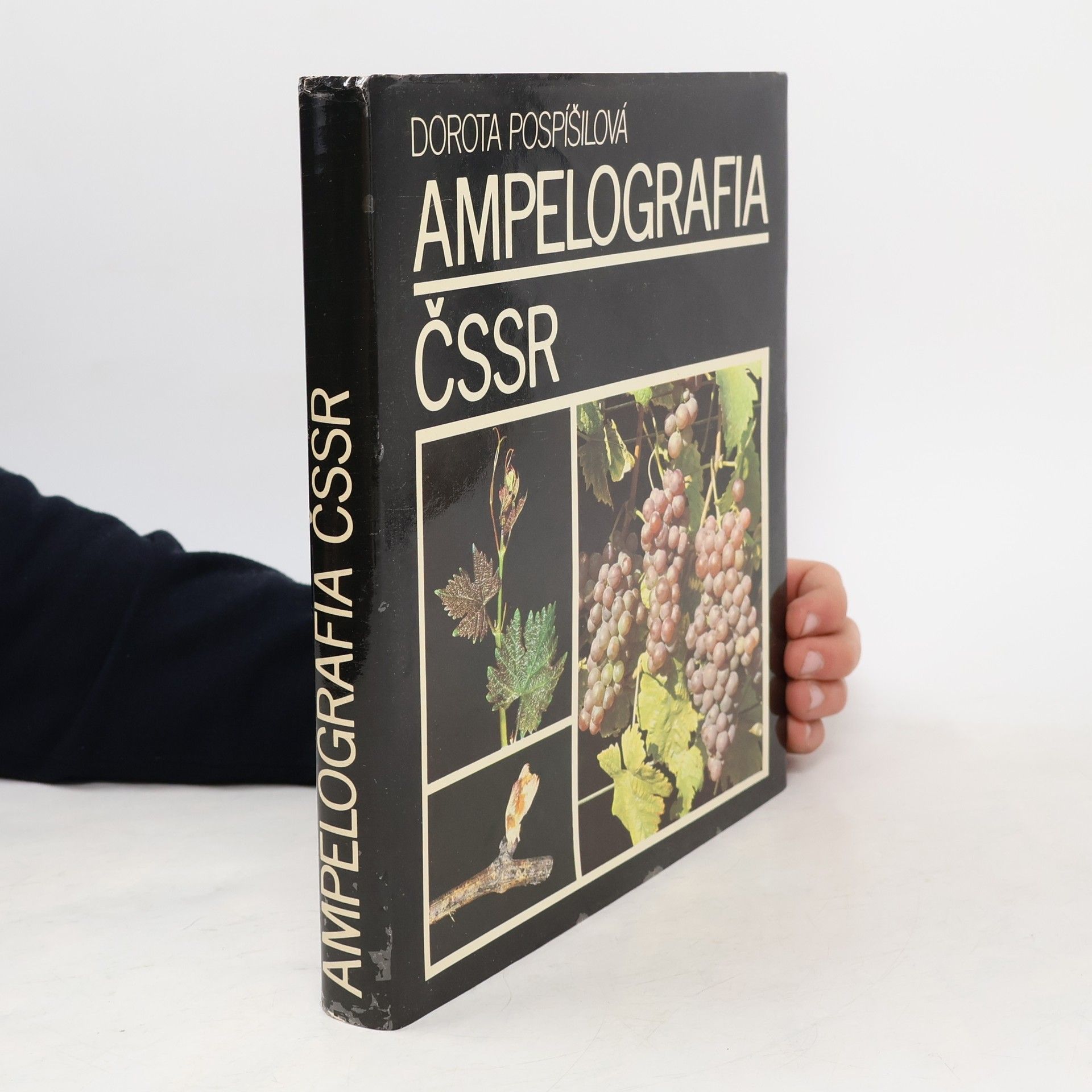 Dorota Pospíšilová Ampelografia ČSSR