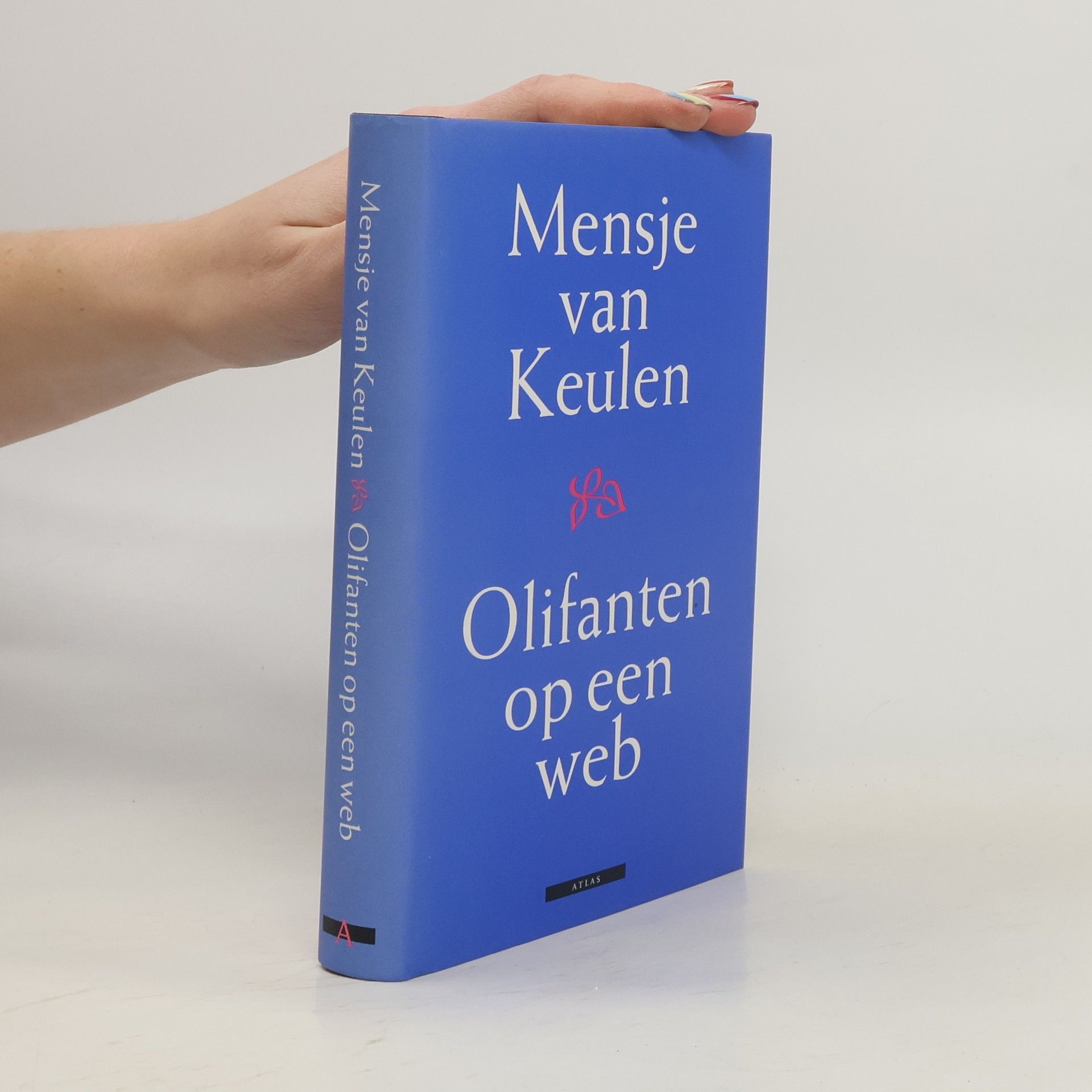 Mensje van Keulen Olifanten op een web