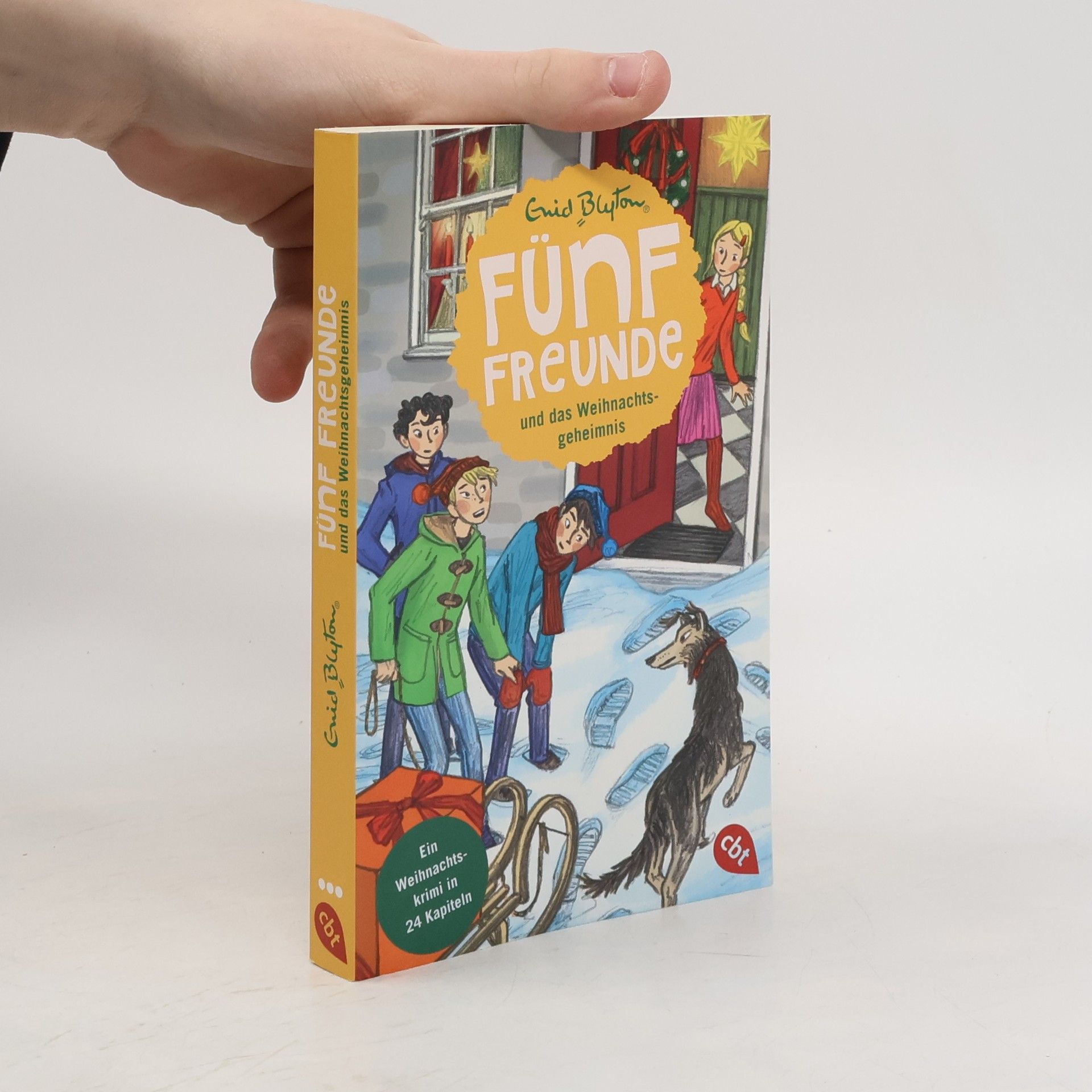 Enid Blyton Fünf Freunde und das Weihnachtsgeheimnis
