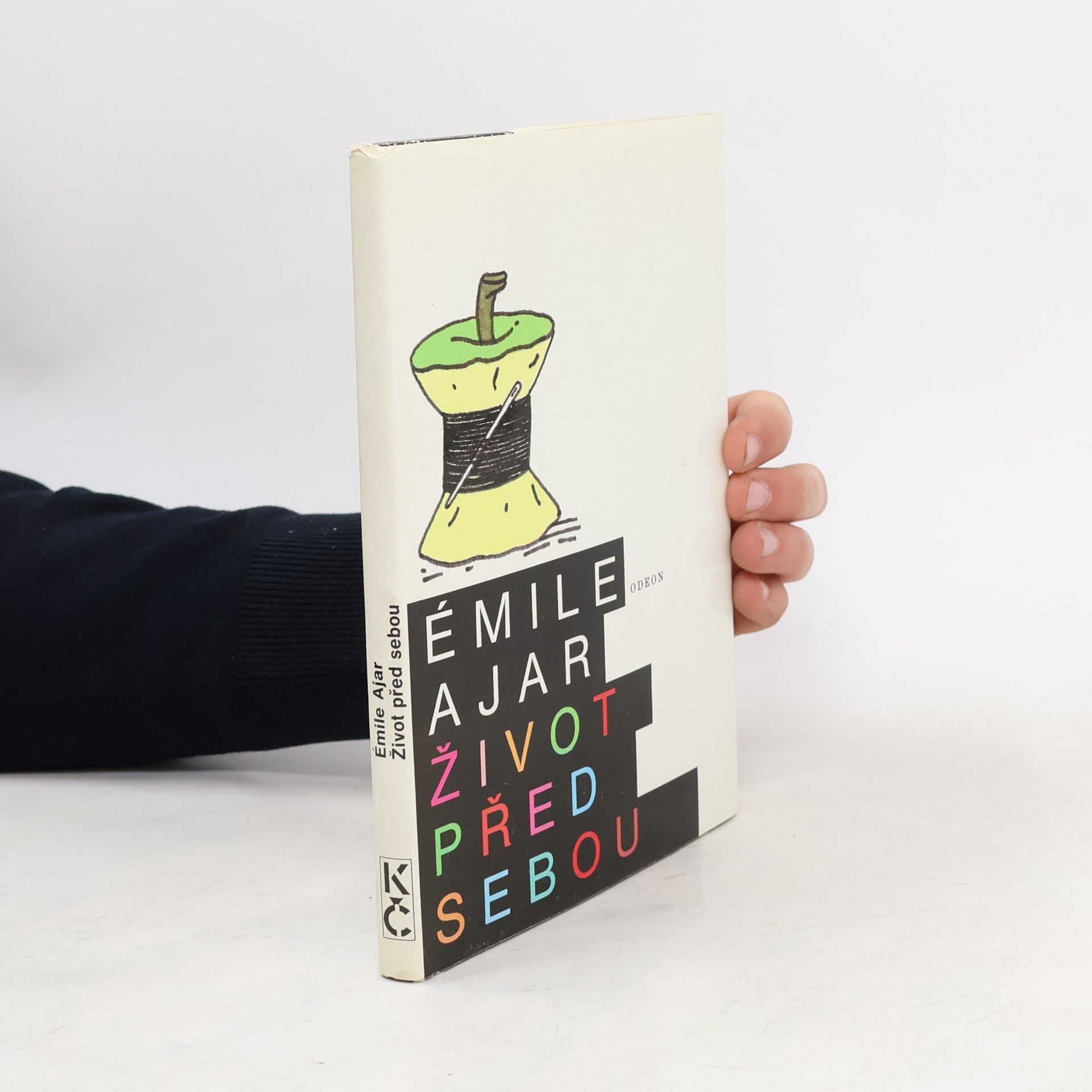 Romain Gary Život před sebou