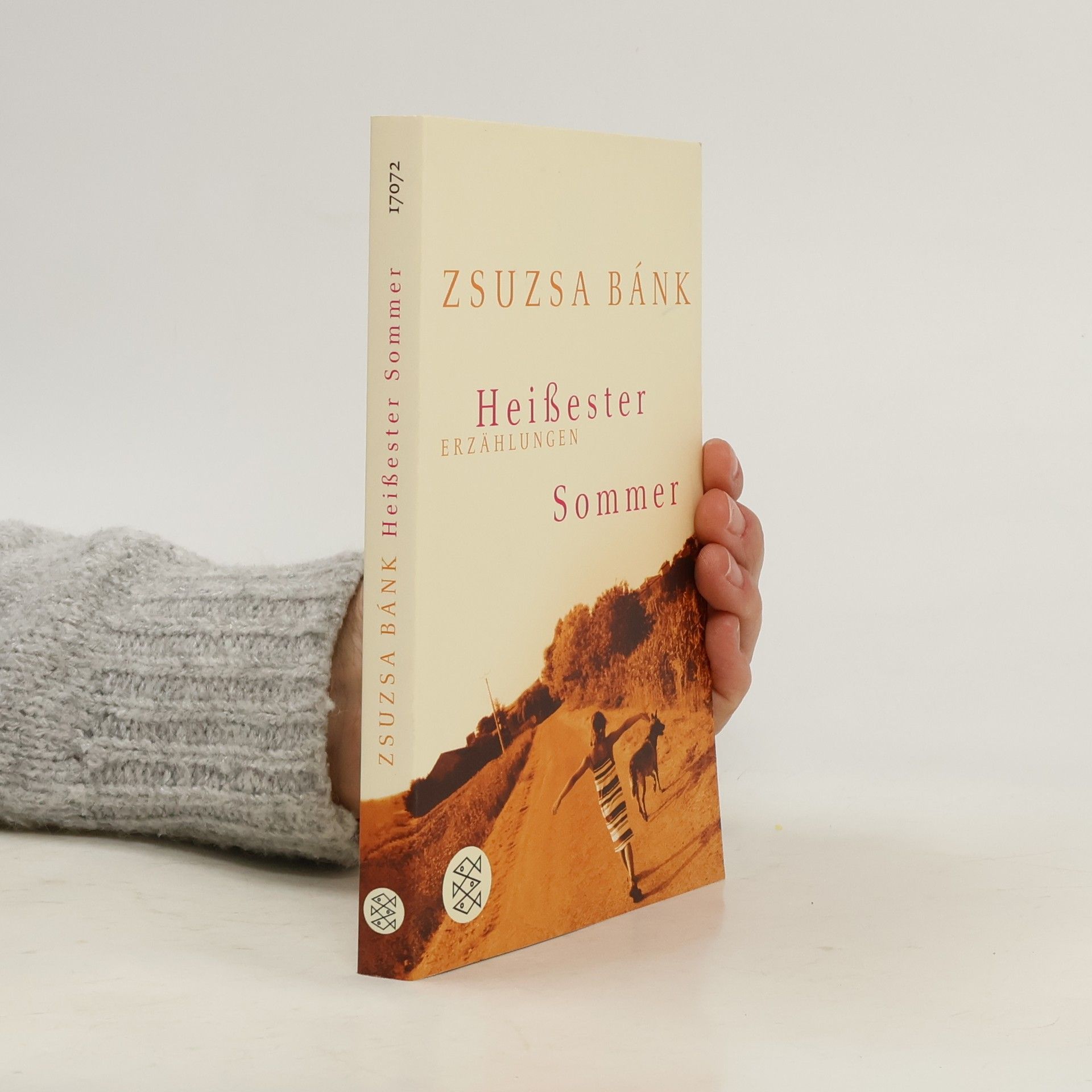 Zsuzsa Bánk Heißester Sommer