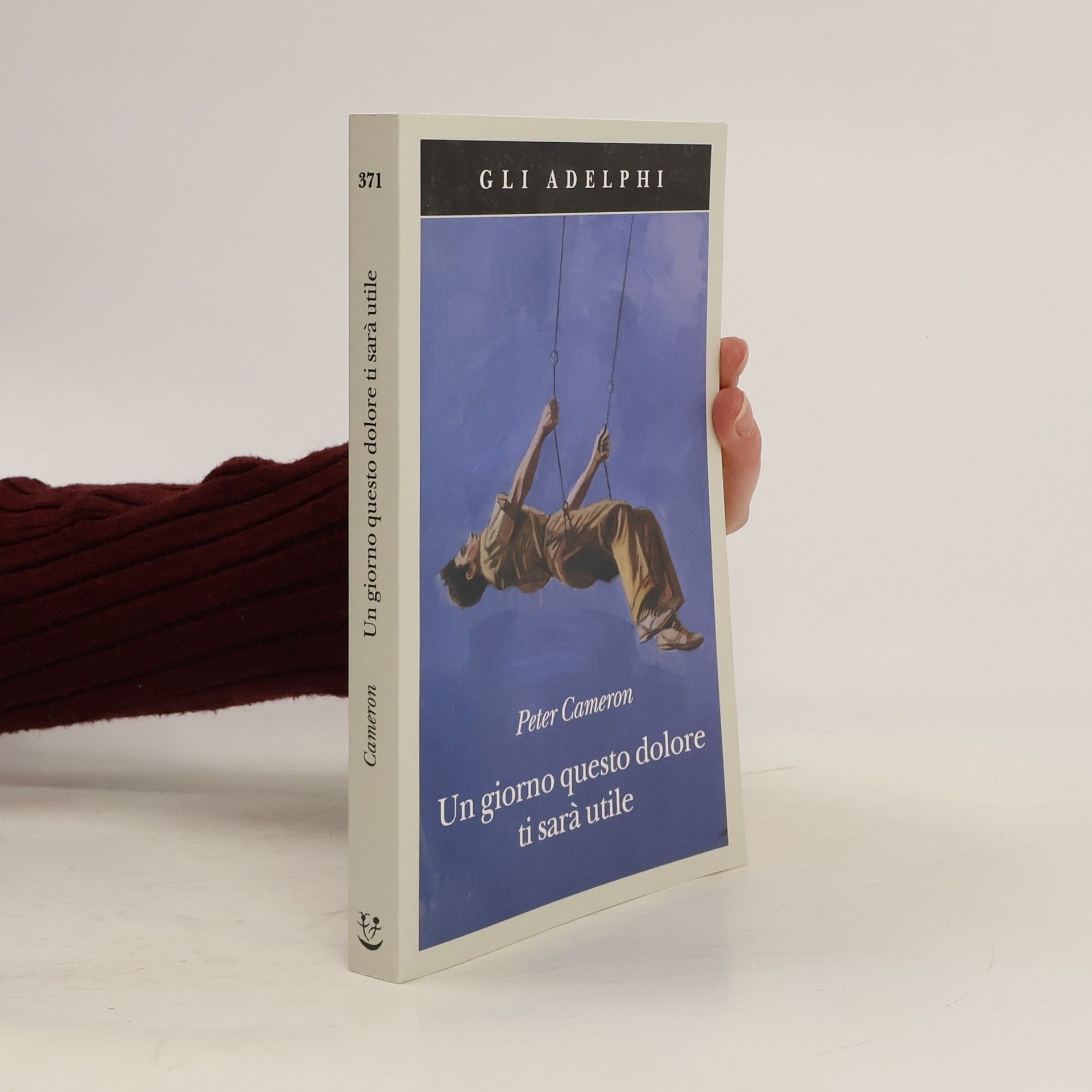 Peter Cameron Un giorno questo dolore ti sarà utile