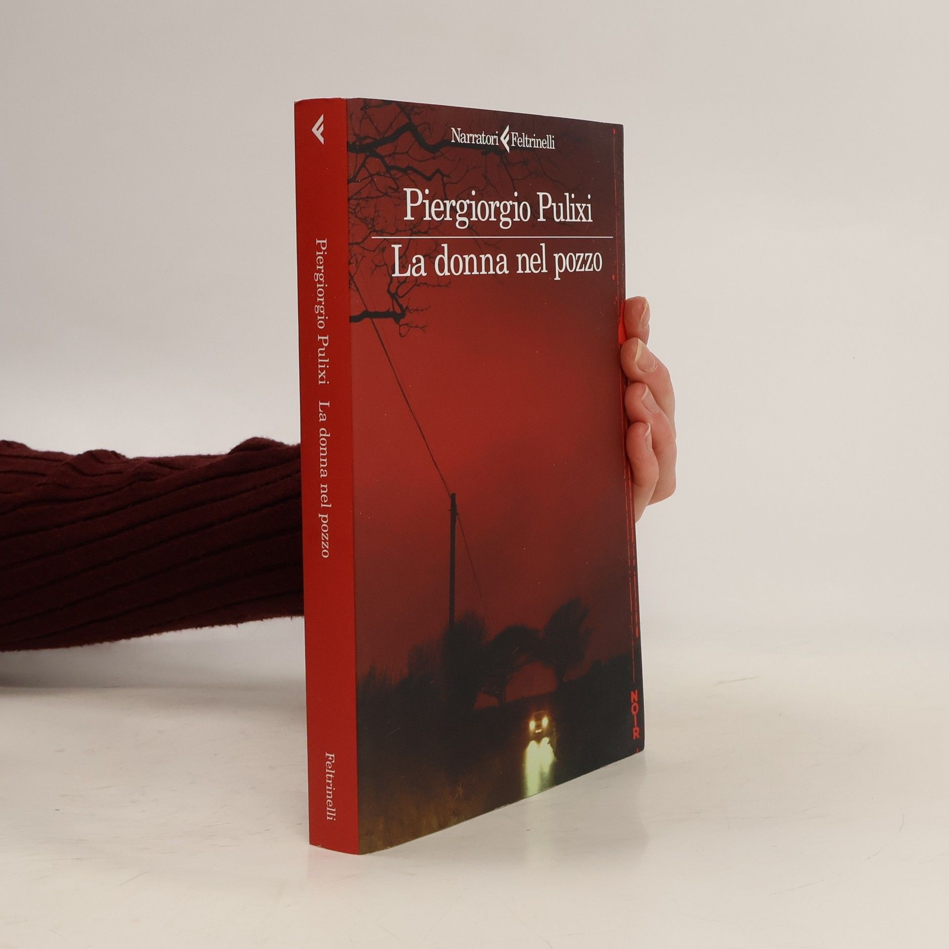 I narratori: La donna nel pozzo