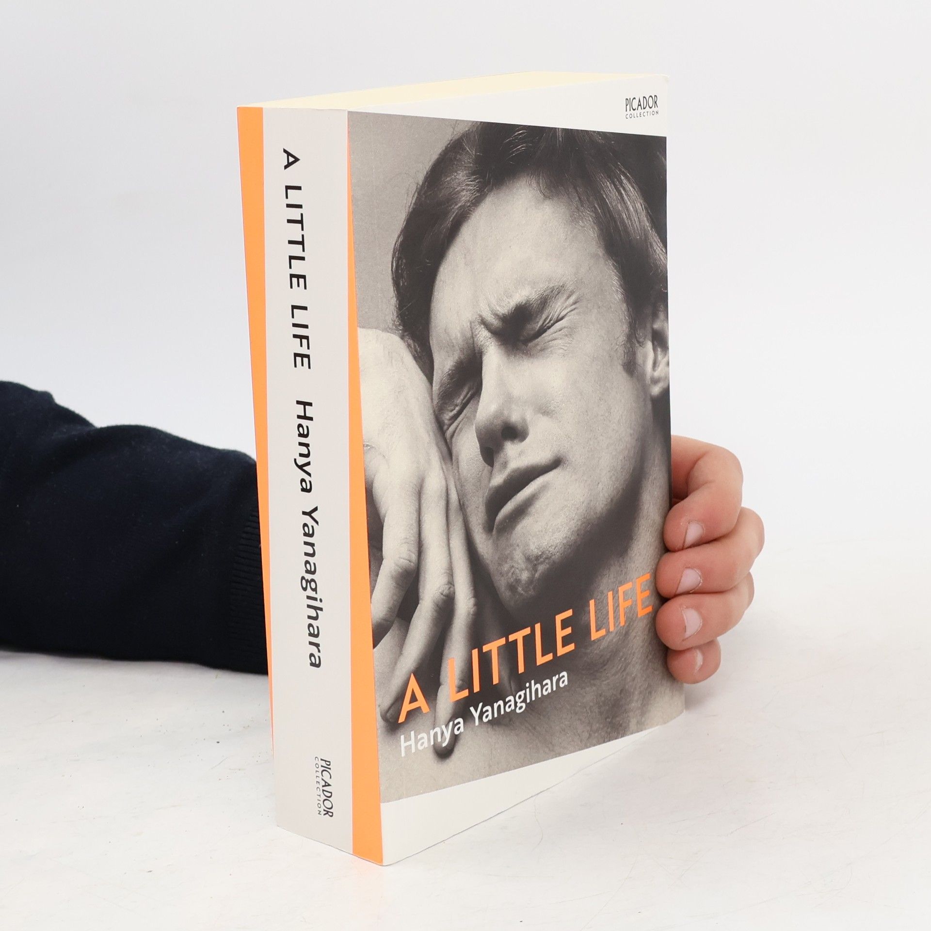 Hanya Yanagihara A Little Life