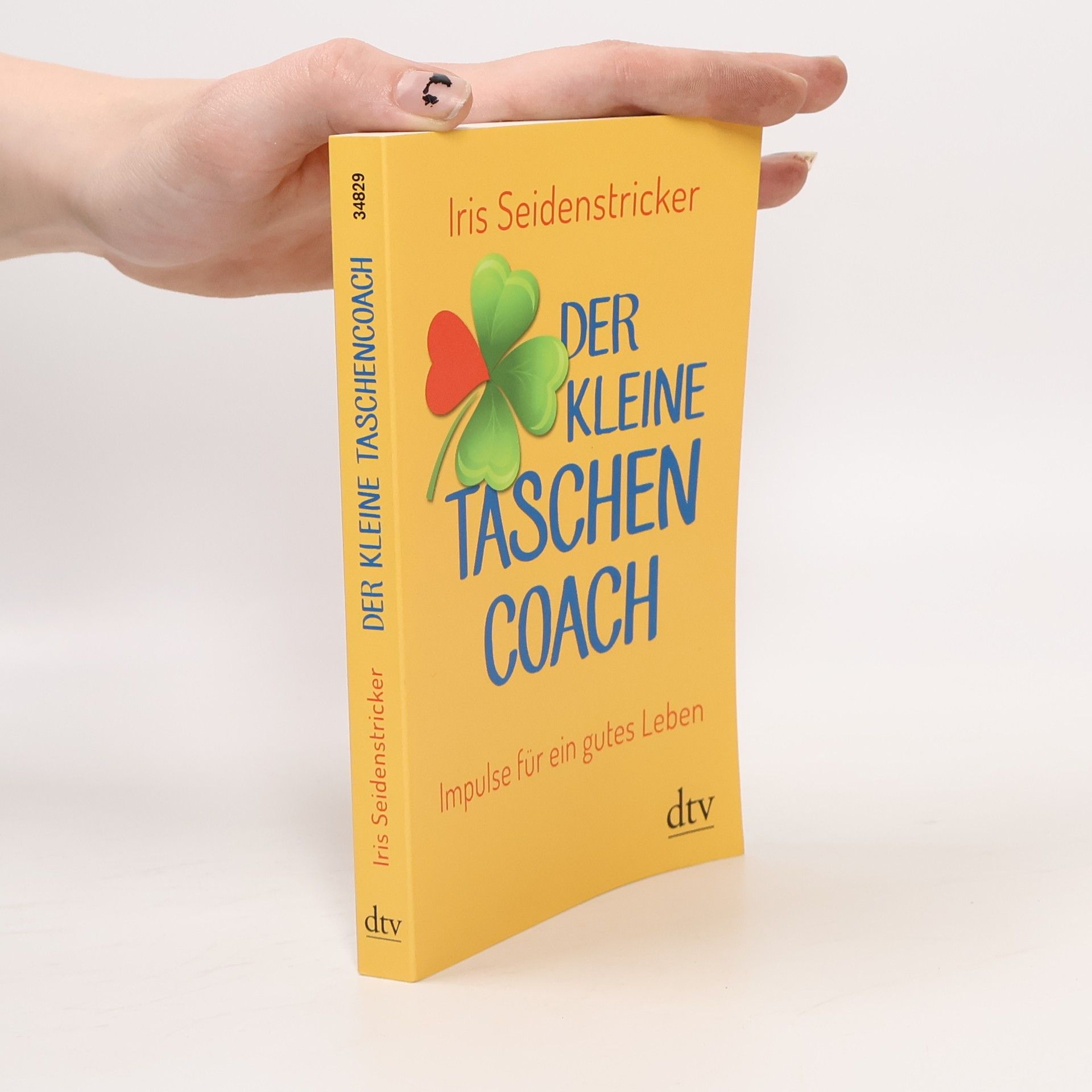 Iris Seidenstricker Der kleine Taschencoach
