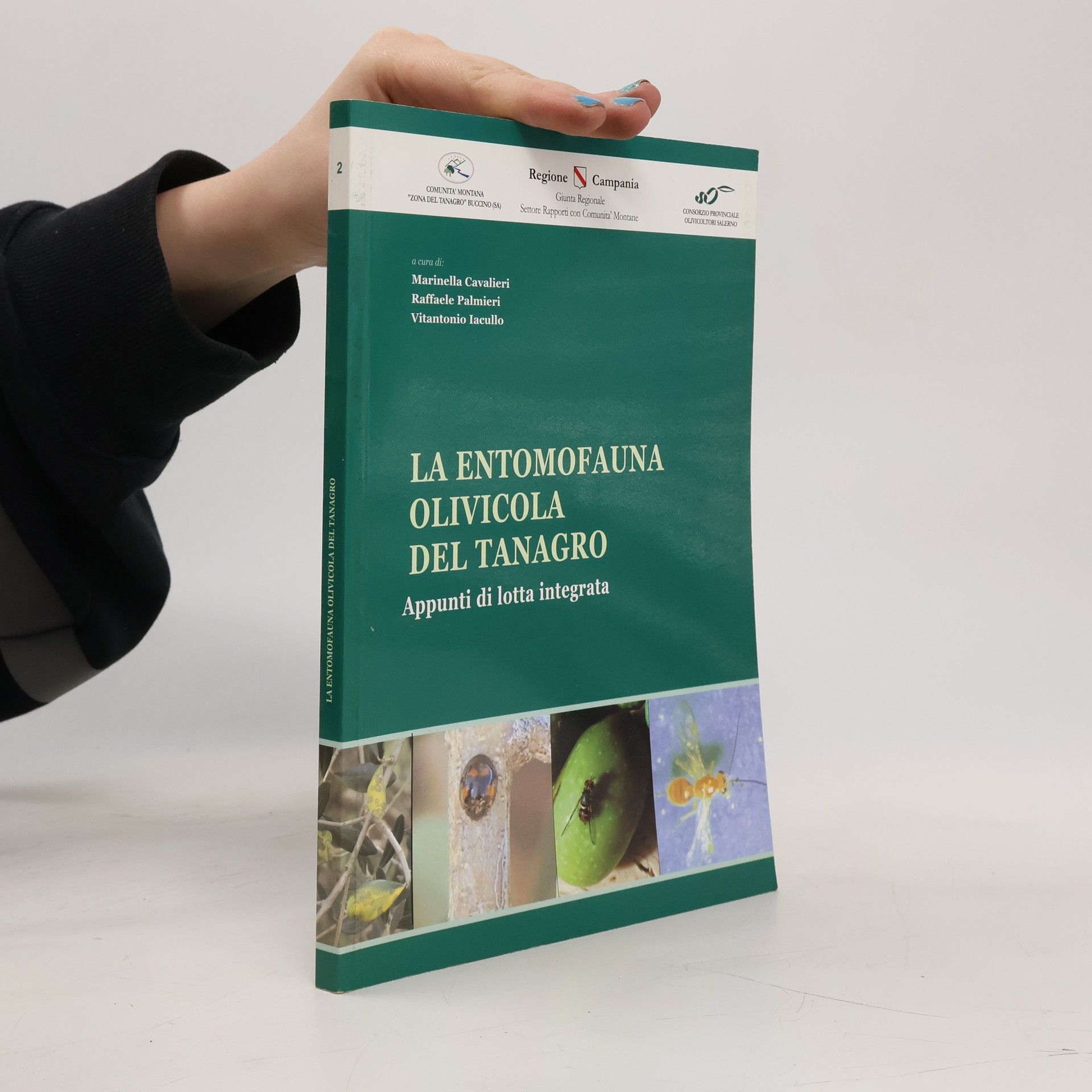 AA.VV. La entomofauna olivicola del tanagro