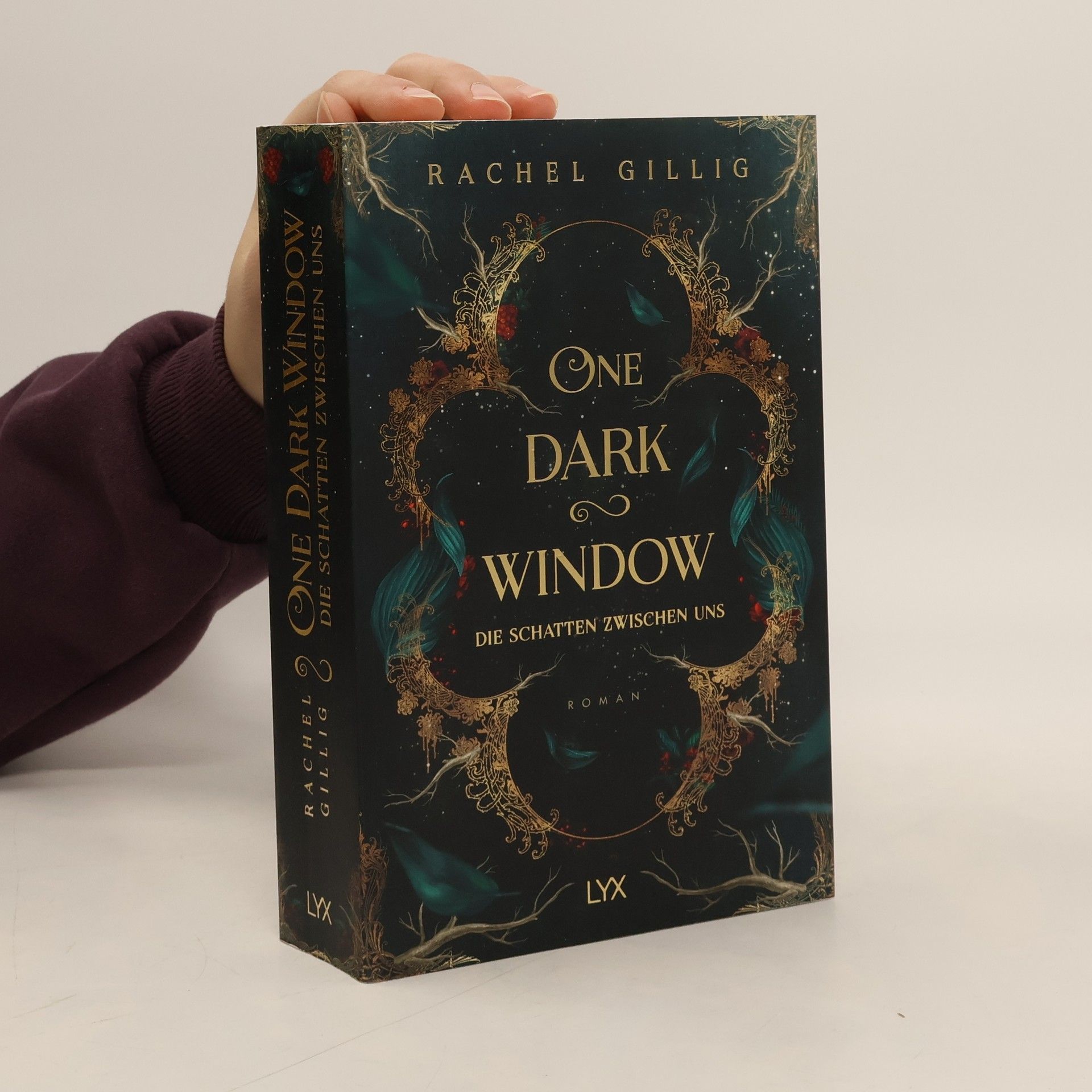 Rachel Gillig One Dark Window - Die Schatten zwischen uns