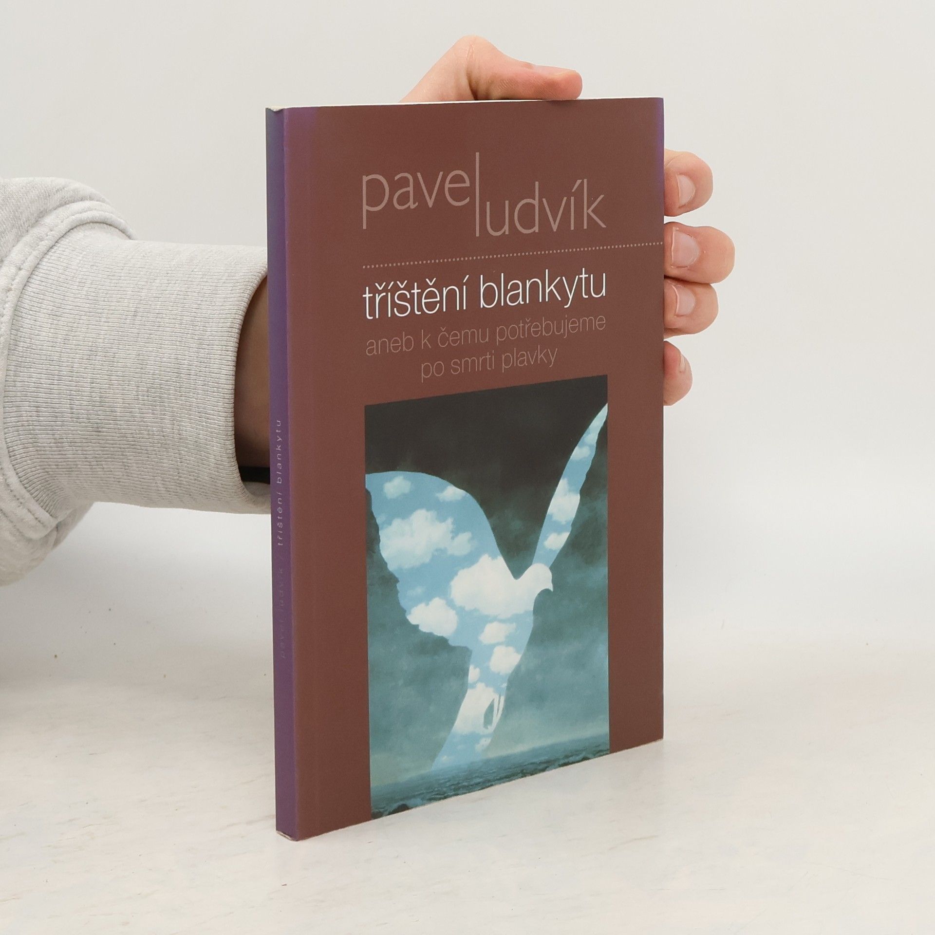 Tříštění blankytu aneb k čemu potřebujeme po smrti plavky