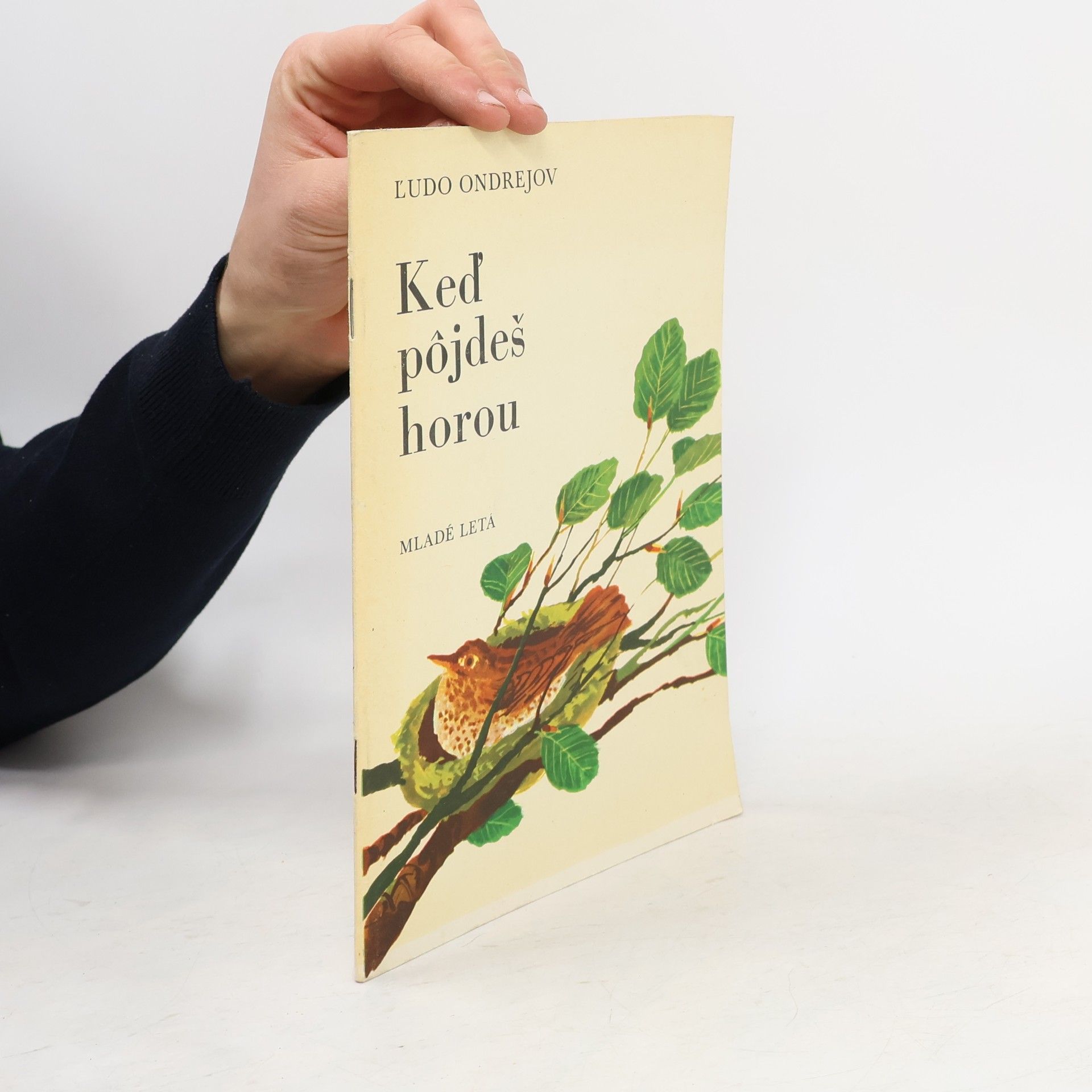 Ľudo Ondrejov Keď pôjdeš horou