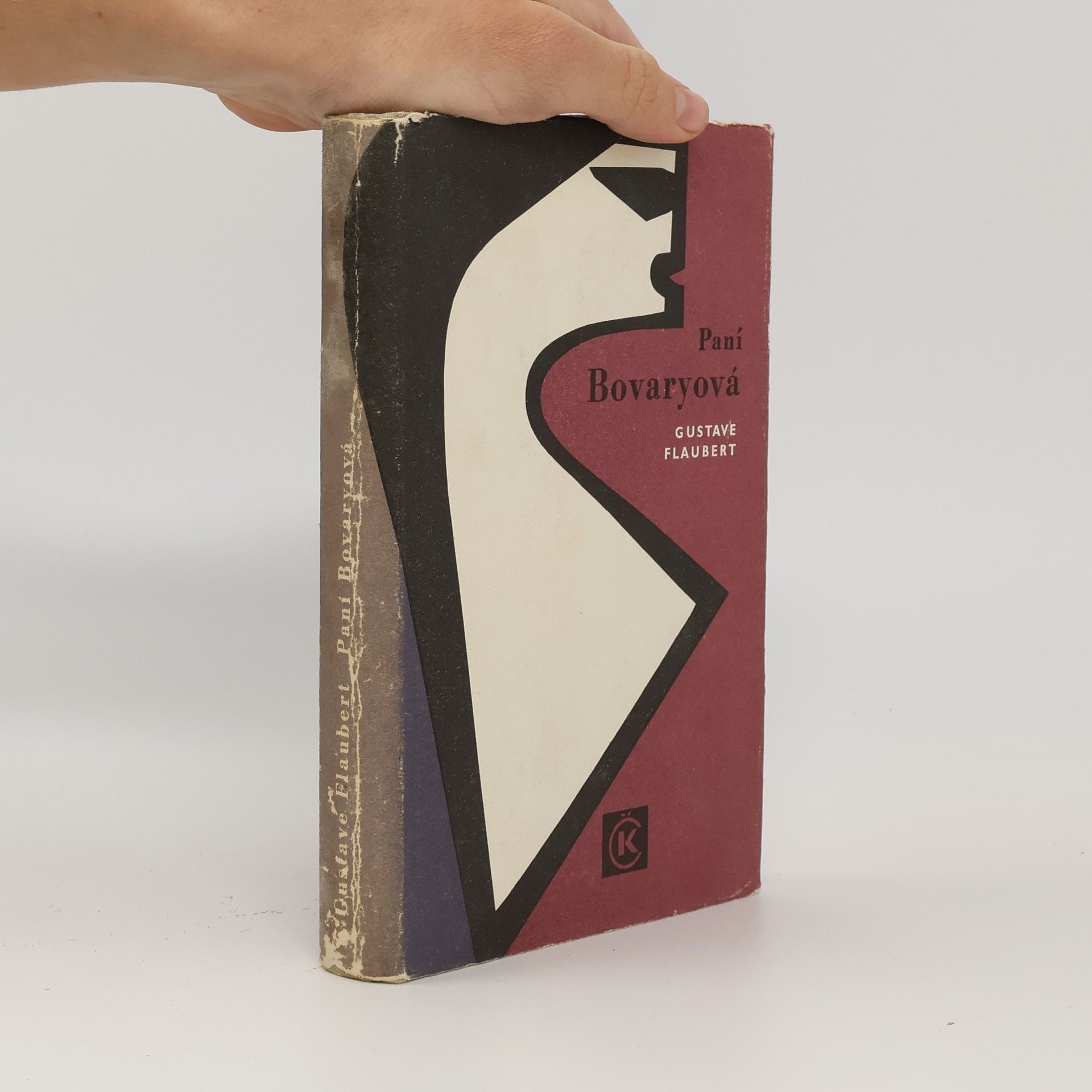 Paní Bovaryová