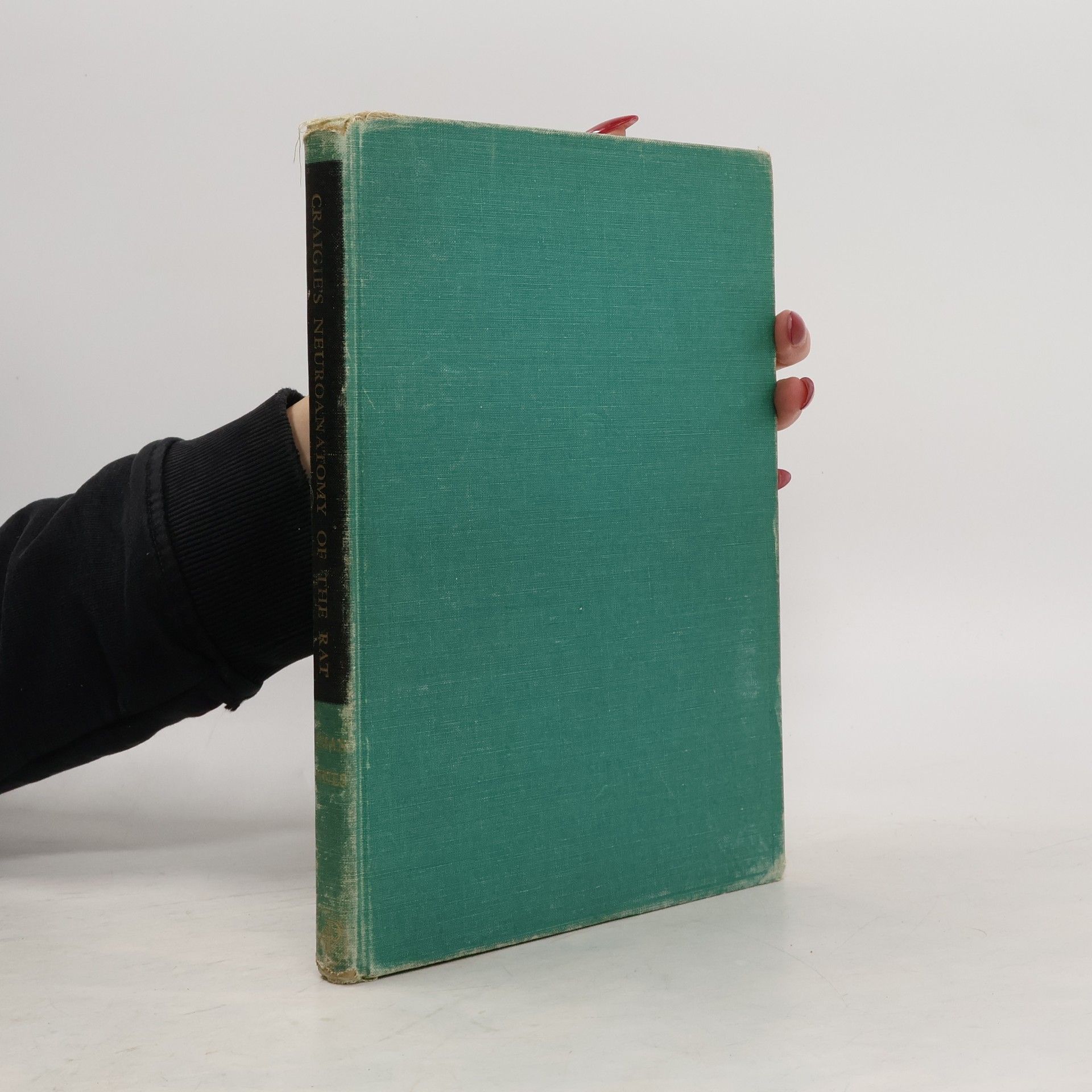 Autorenkollektiv Craigie's Neuroanatomy of the Rat