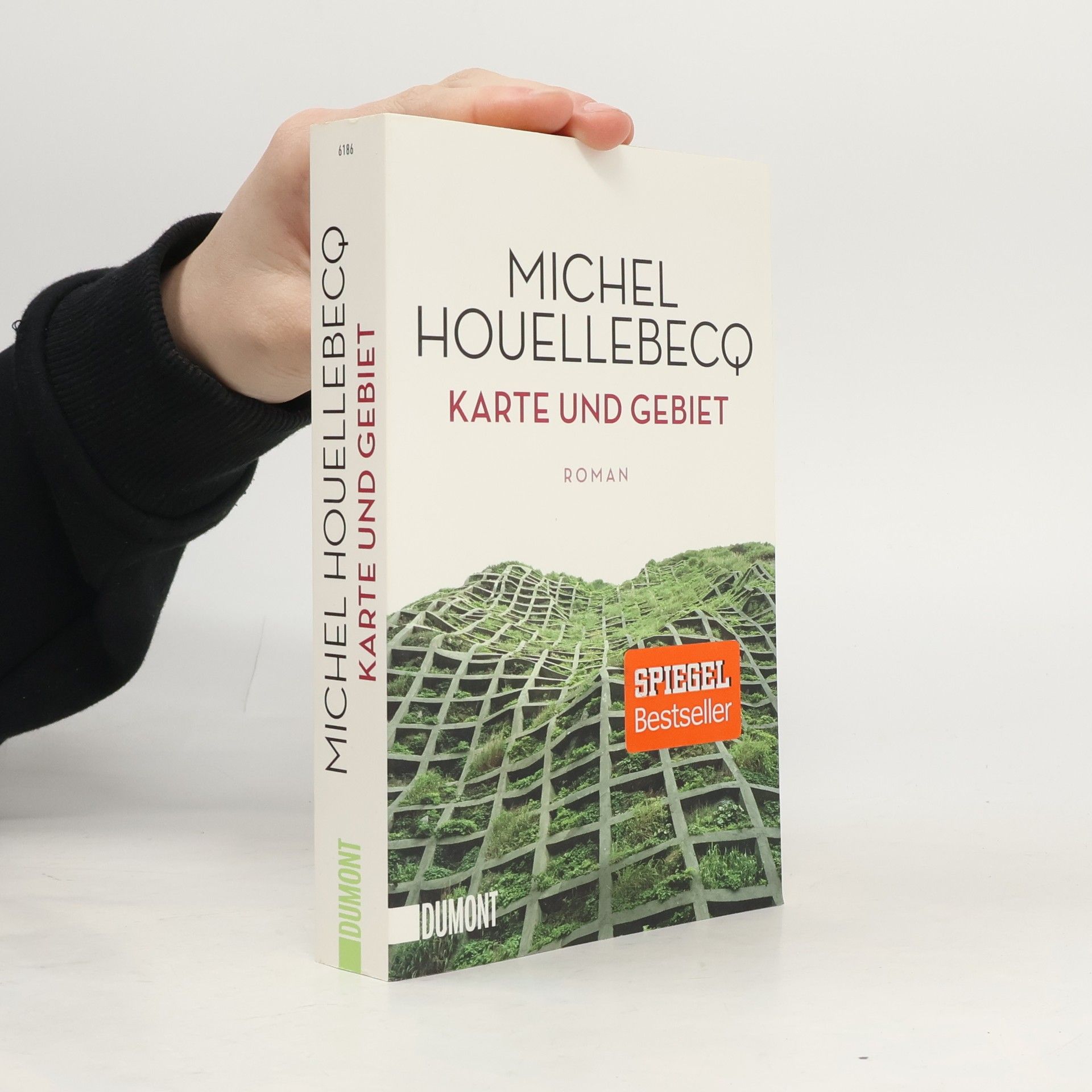 Michel Houellebecq Karte und Gebiet