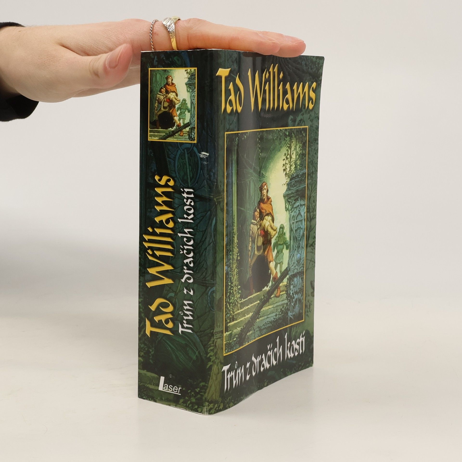 Tad Williams Trůn z dračích kostí