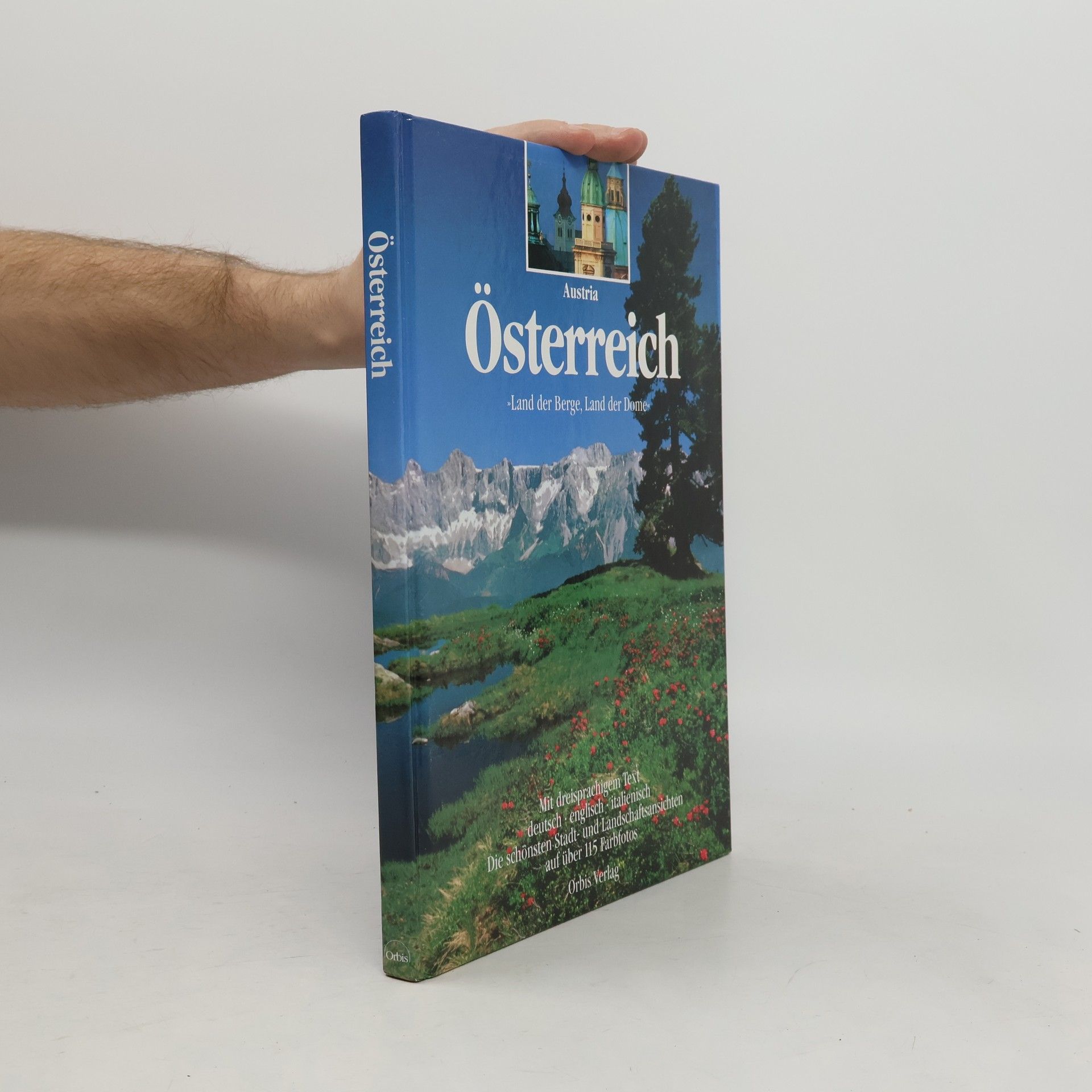 Dieter Maier Österreich