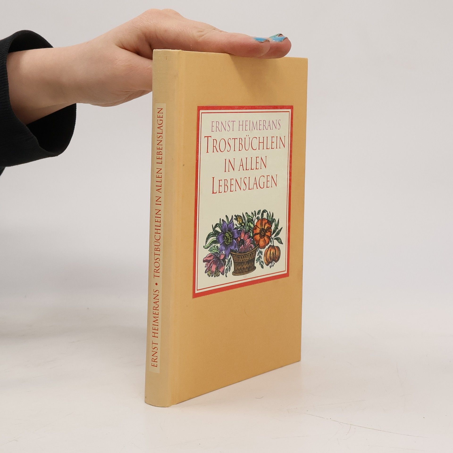 Trostbüchlein in allen Lebenslagen