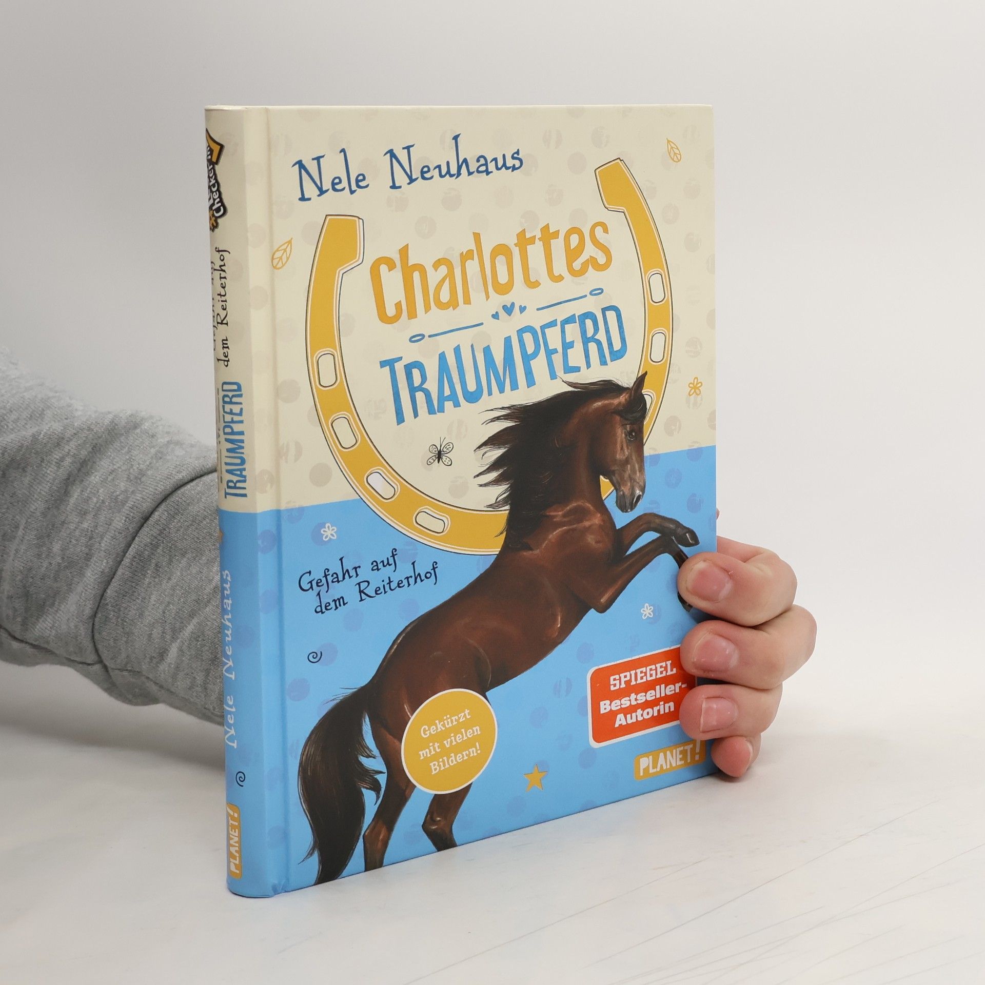 Charlottes Traumpferd 2: Gefahr auf dem Reiterhof