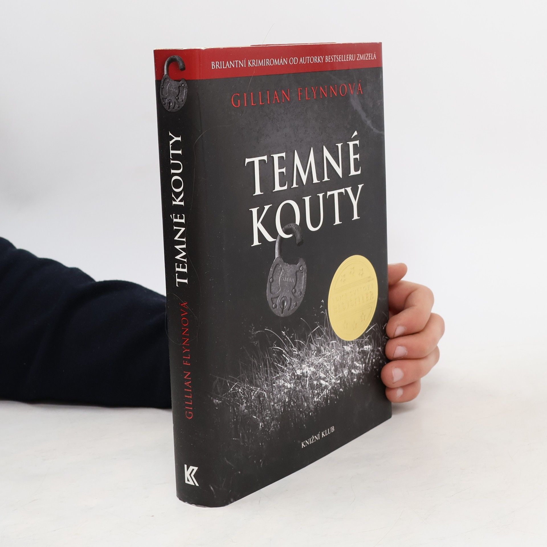 Gillian Flynn Temné kouty