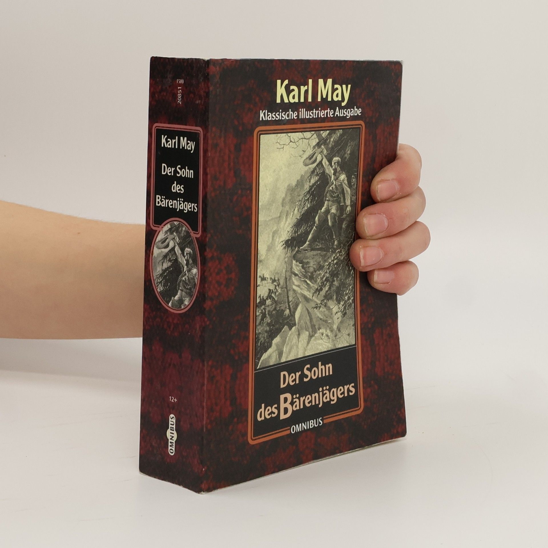 Karl May Der Sohn des Bärenjägers: klassische illustrierte Ausgabe