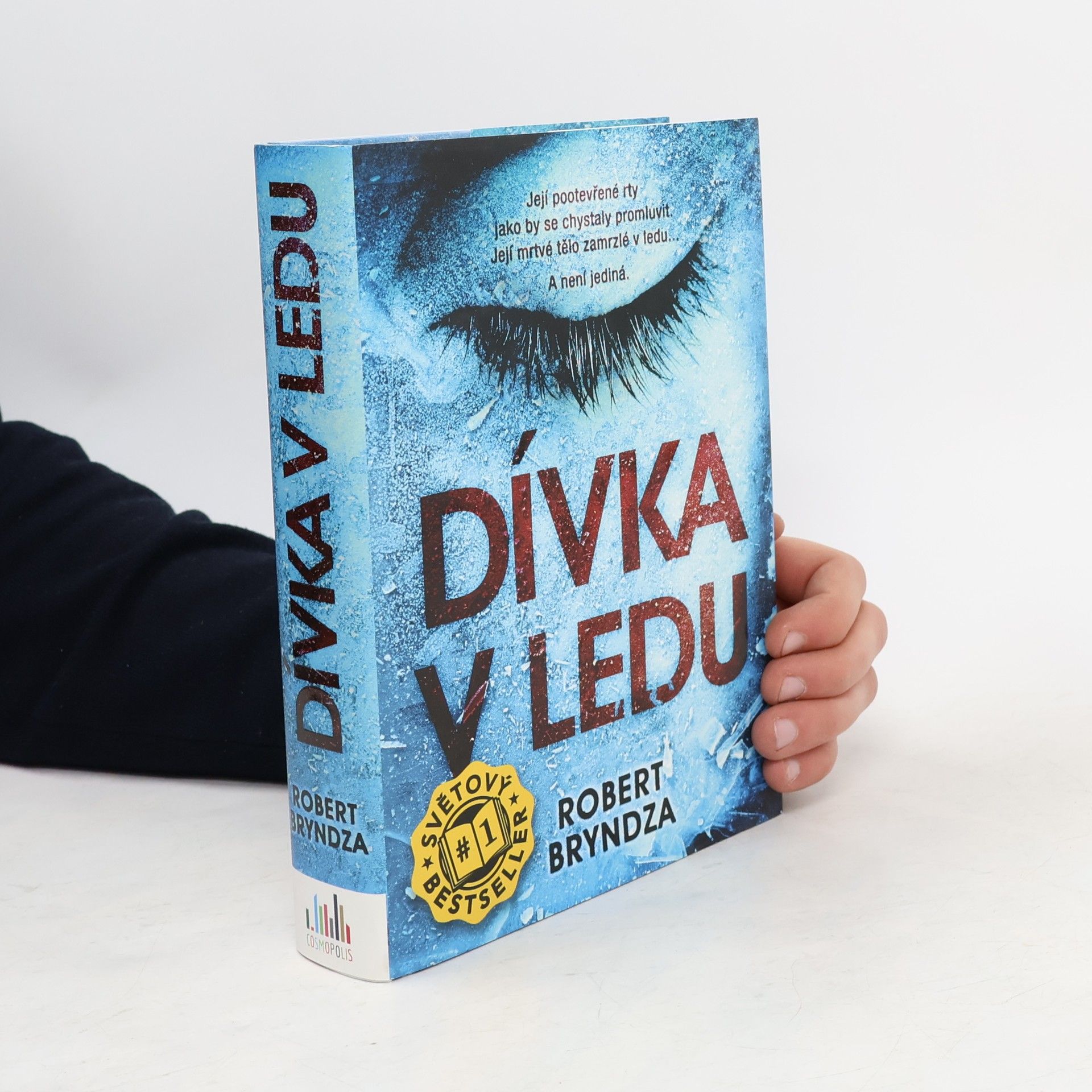 Robert Bryndza Dívka v ledu