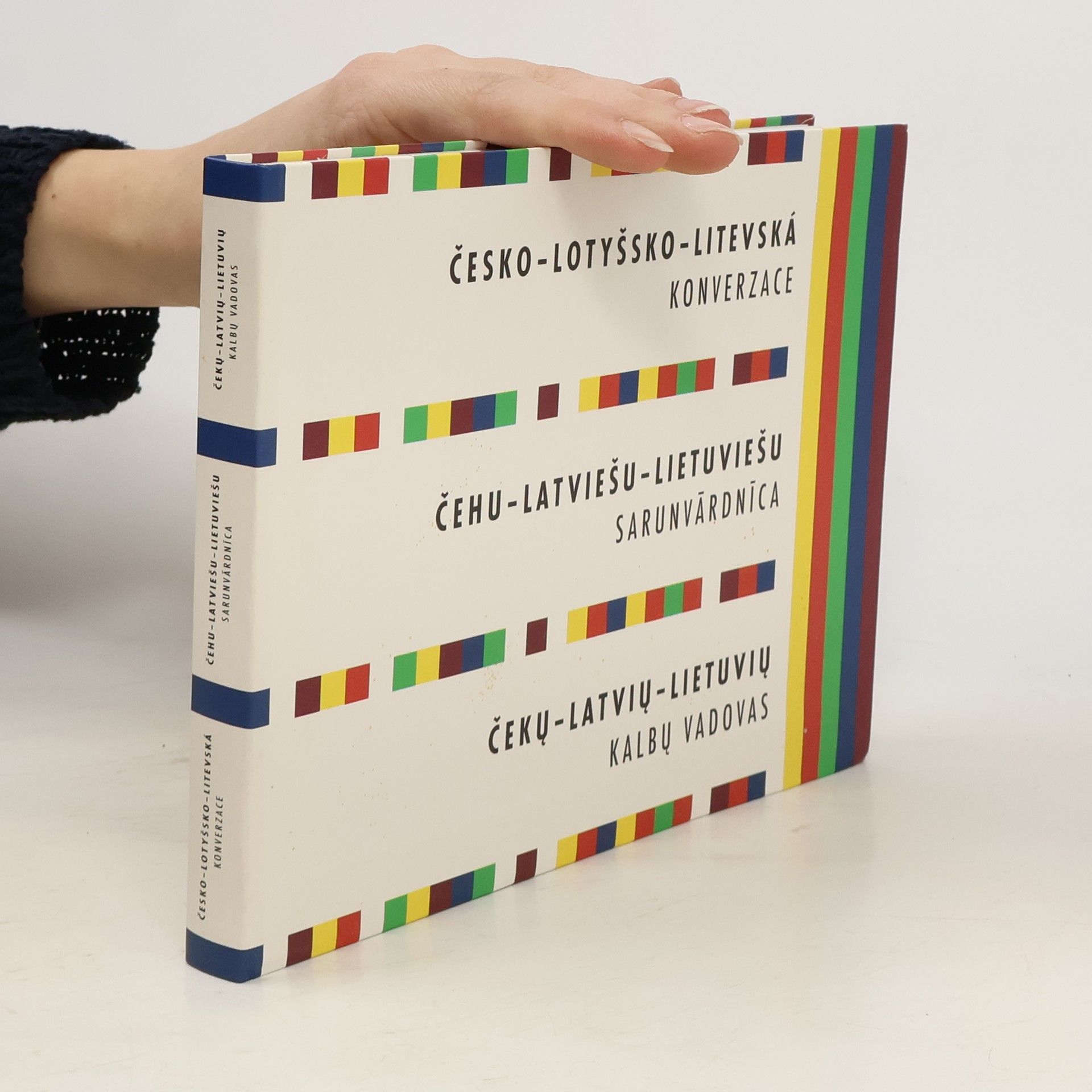 Autorenkollektiv Česko-lotyšsko-litevská konverzace