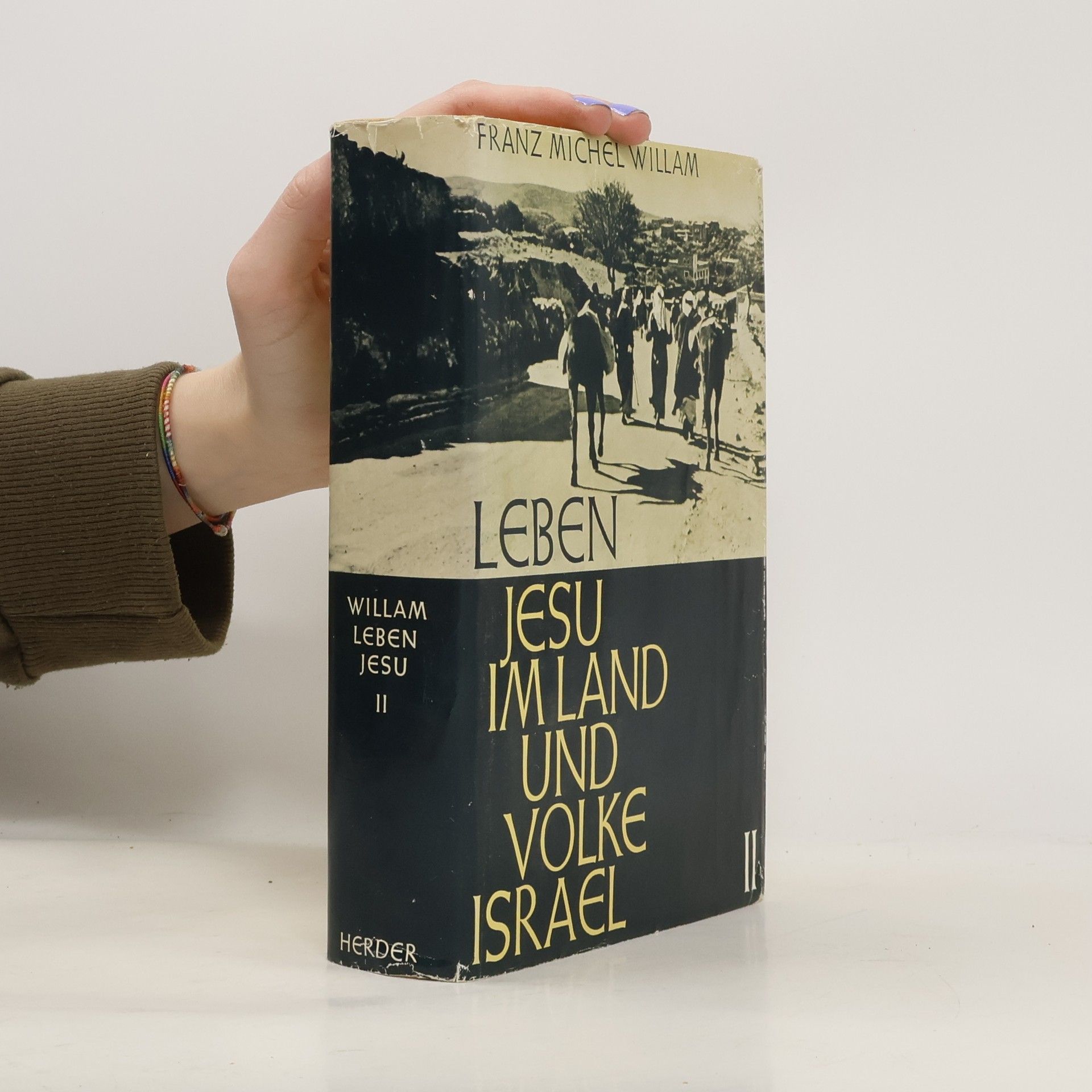 Das Leben Jesu im Lande und Volke Israel. Band II