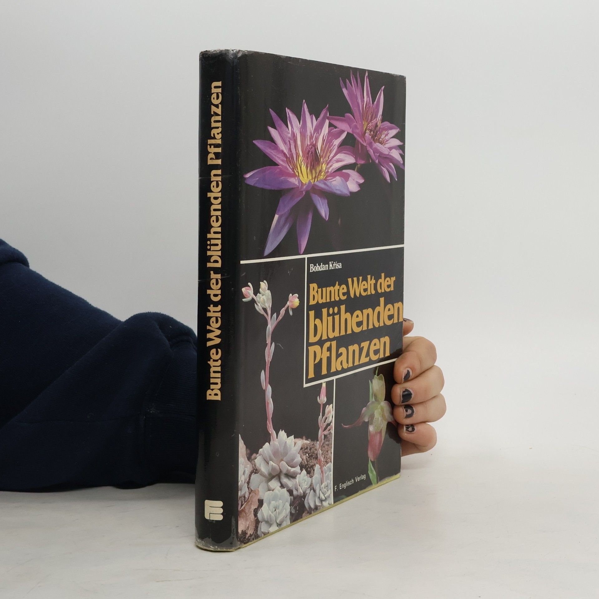 Romano Božac Das neue Pilzbuch in Farbe